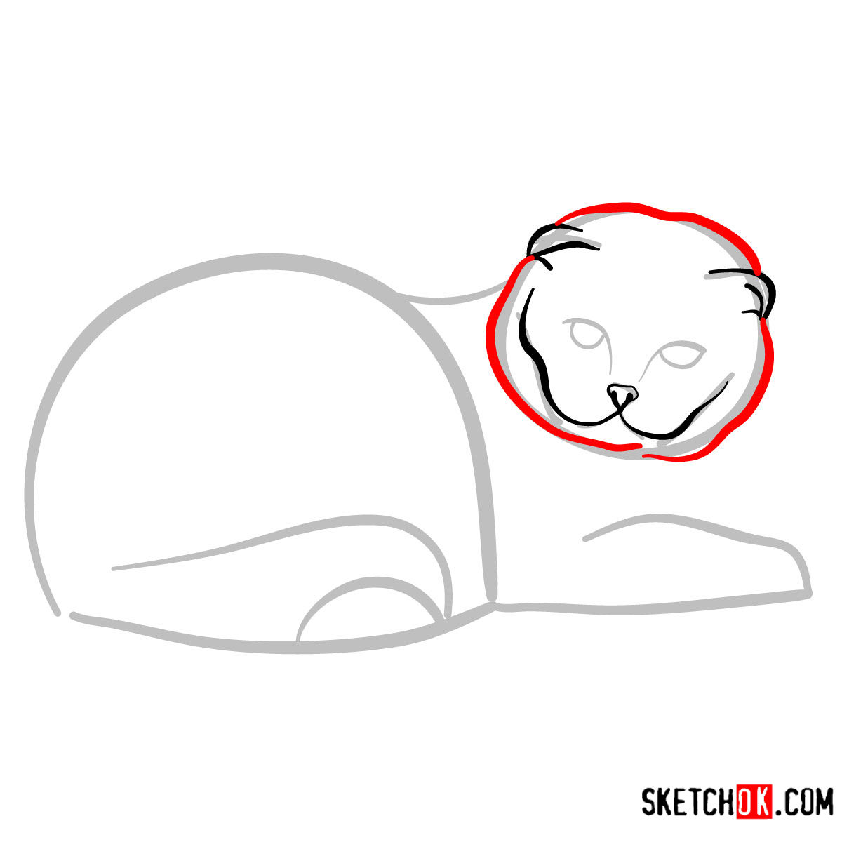 How to draw the Scottish Fold cat - step 04