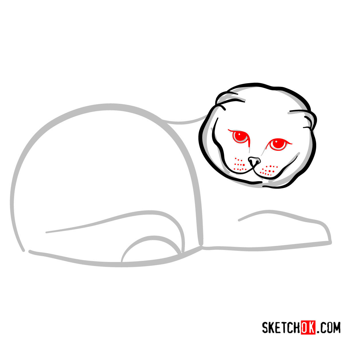 How to draw the Scottish Fold cat - step 05