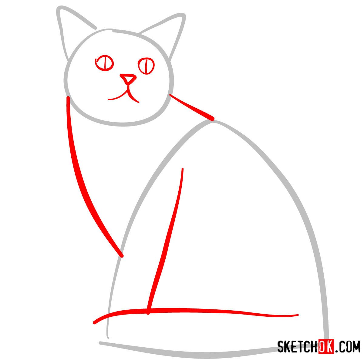 How to draw the American Shorthair cat - step 02