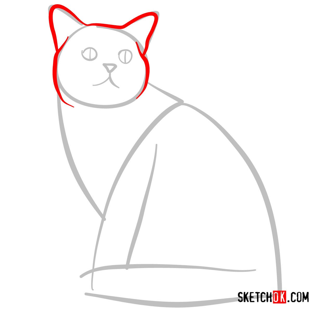 How to draw the American Shorthair cat - step 03