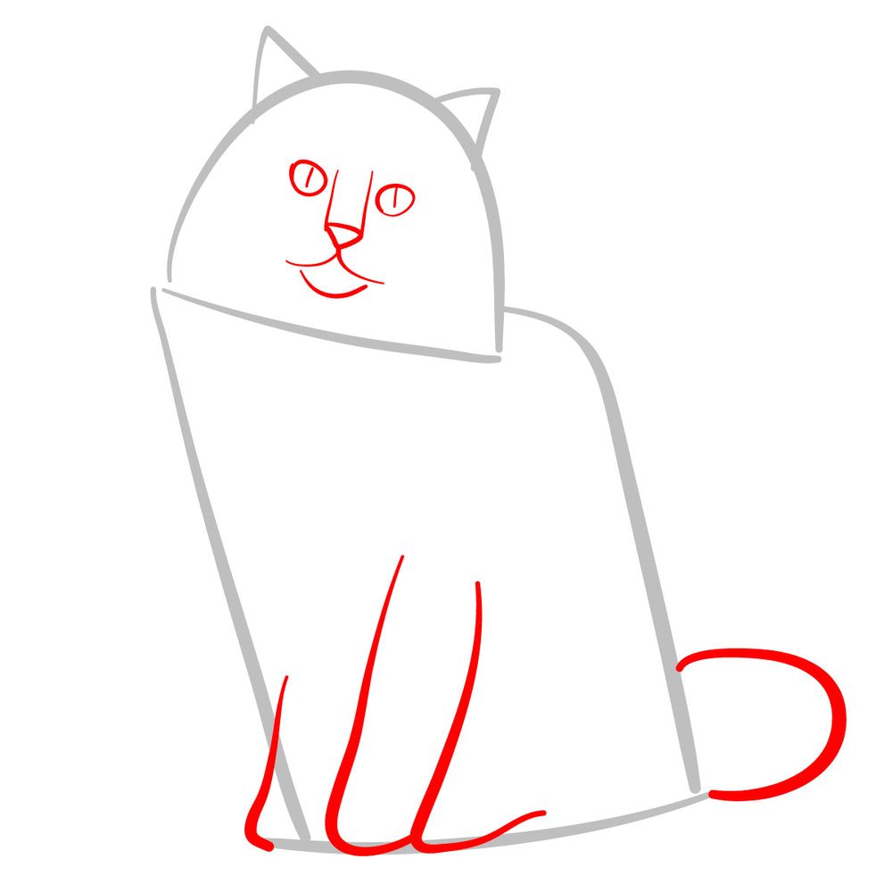 How to draw the Ragdoll cat - step 02
