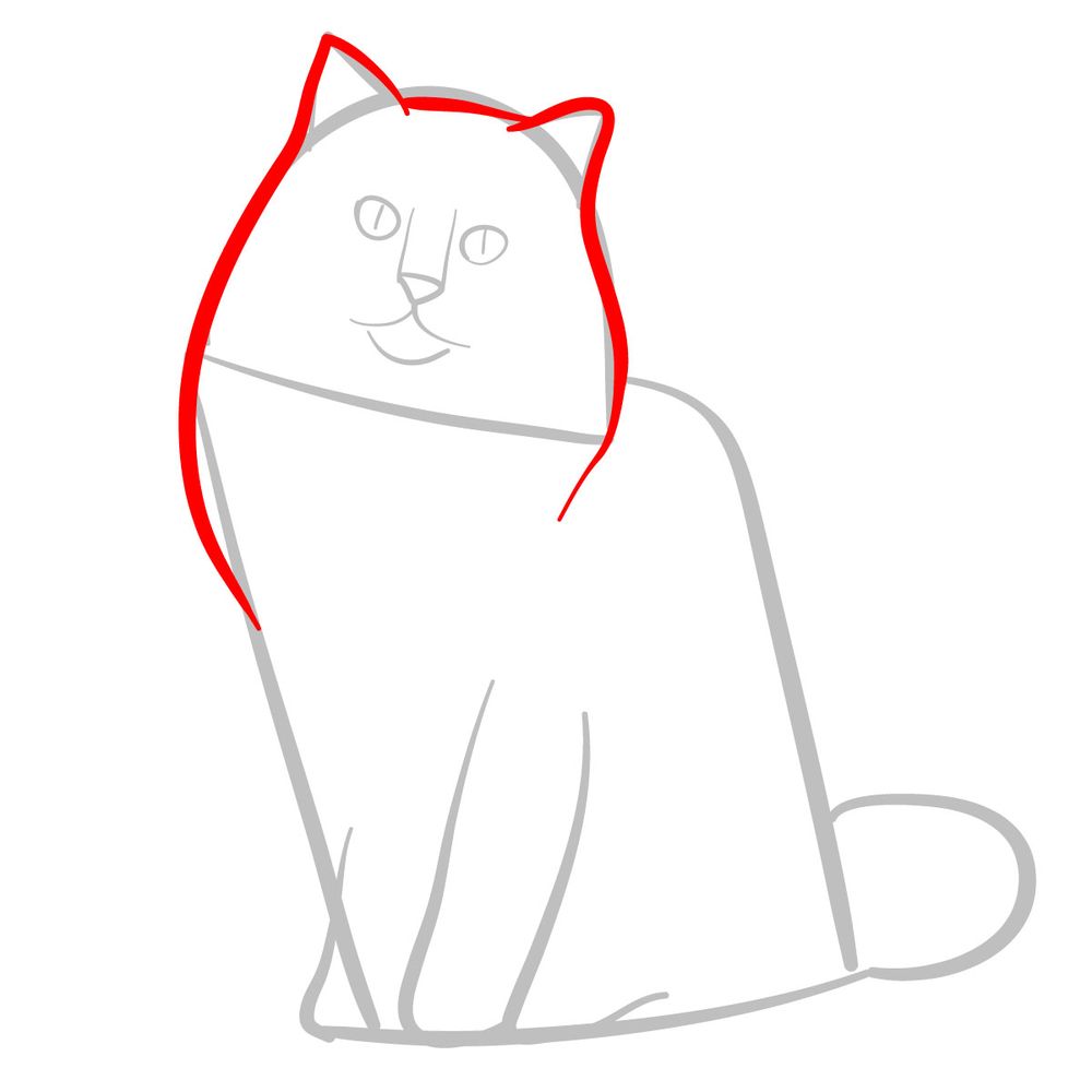 How to draw the Ragdoll cat - step 03