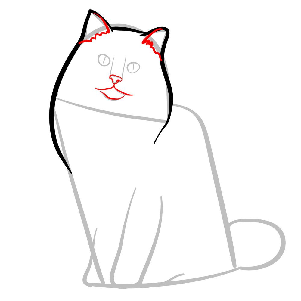 How to draw the Ragdoll cat - step 04
