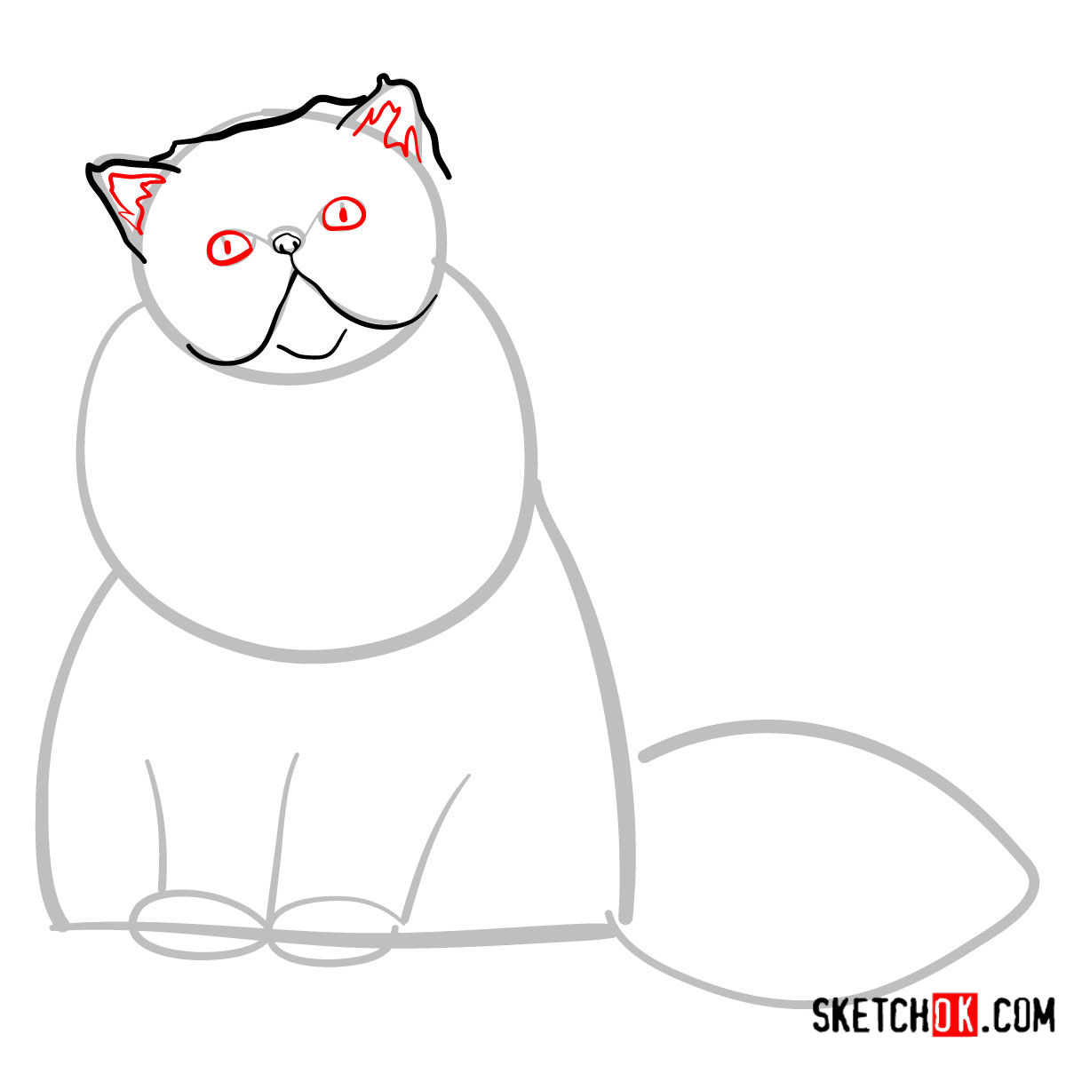 How to draw the Persian cat - step 04