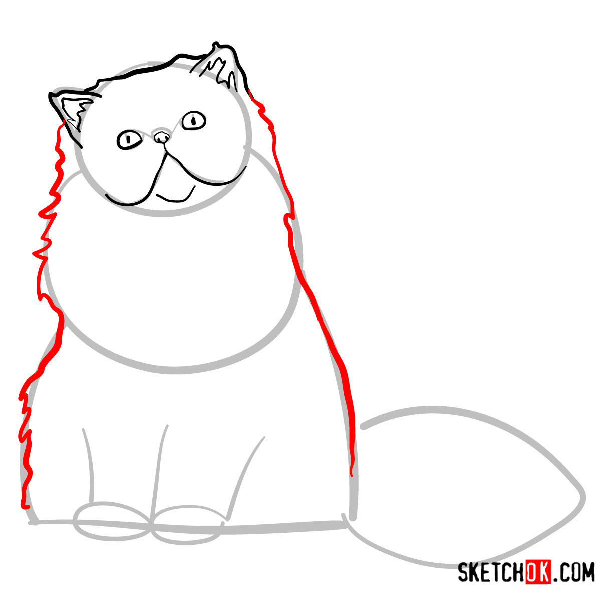 How to draw the Persian cat - step 05
