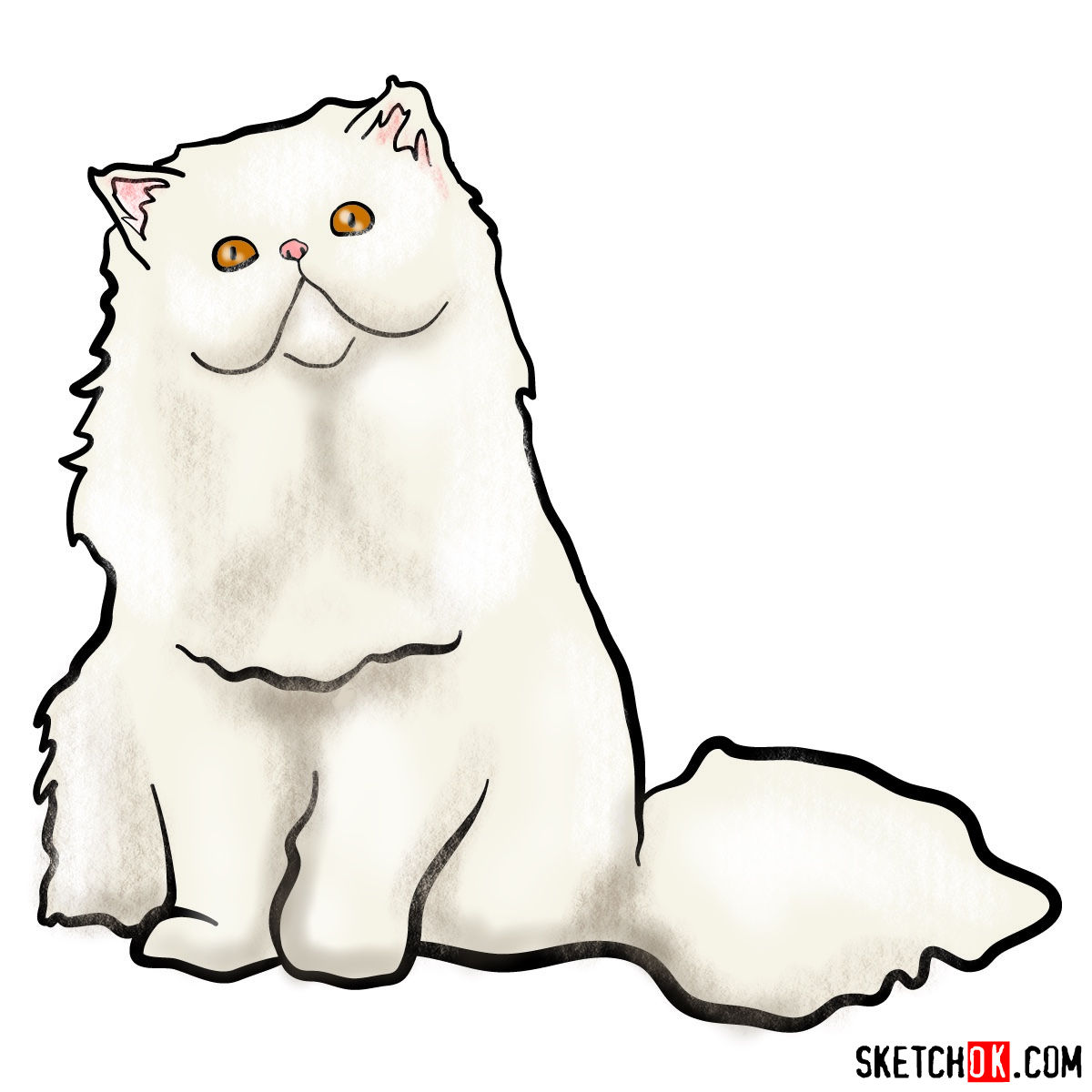 easy persian cat drawing oystermushroomartdrawingsketch