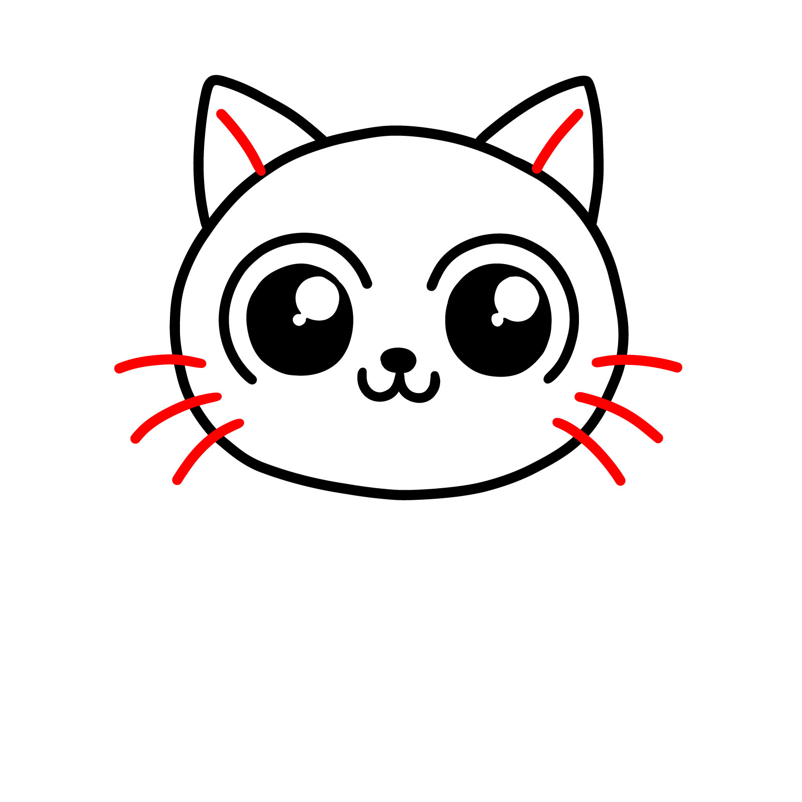 Cartoon cat face drawing with whiskers and fur details - step 05