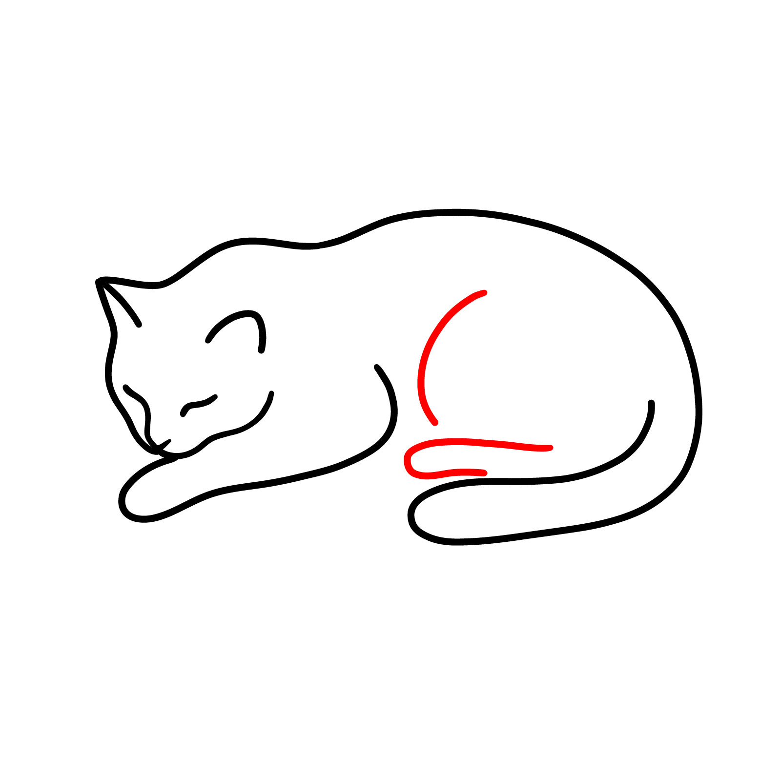 Outline for the visible back leg of the sleeping cat - step 05