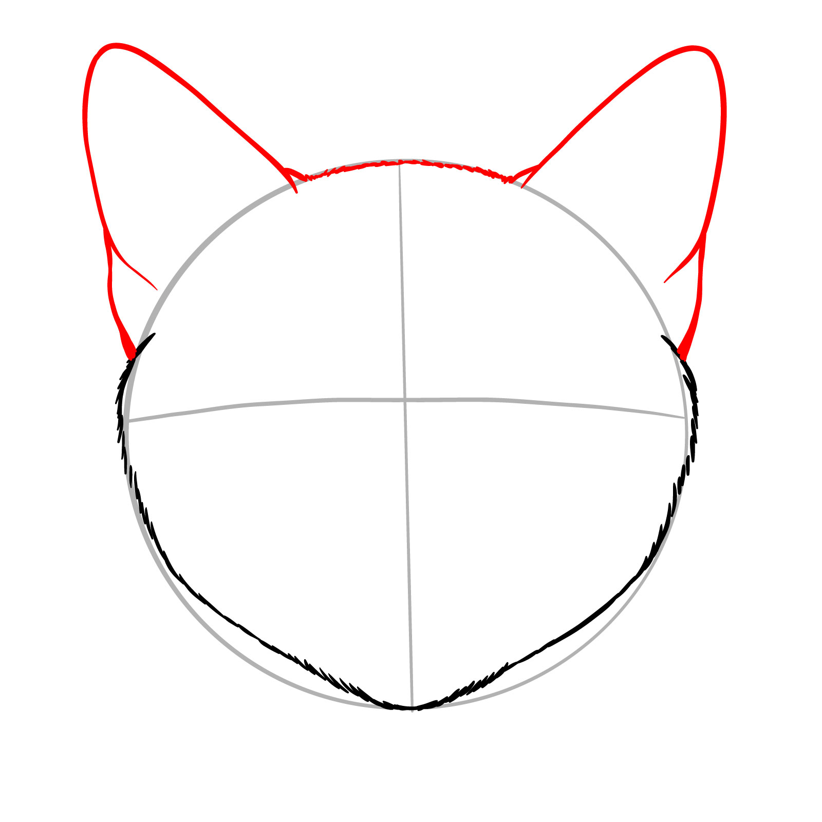 Addition of ears and the top of the head to the cat's face sketch - step 03