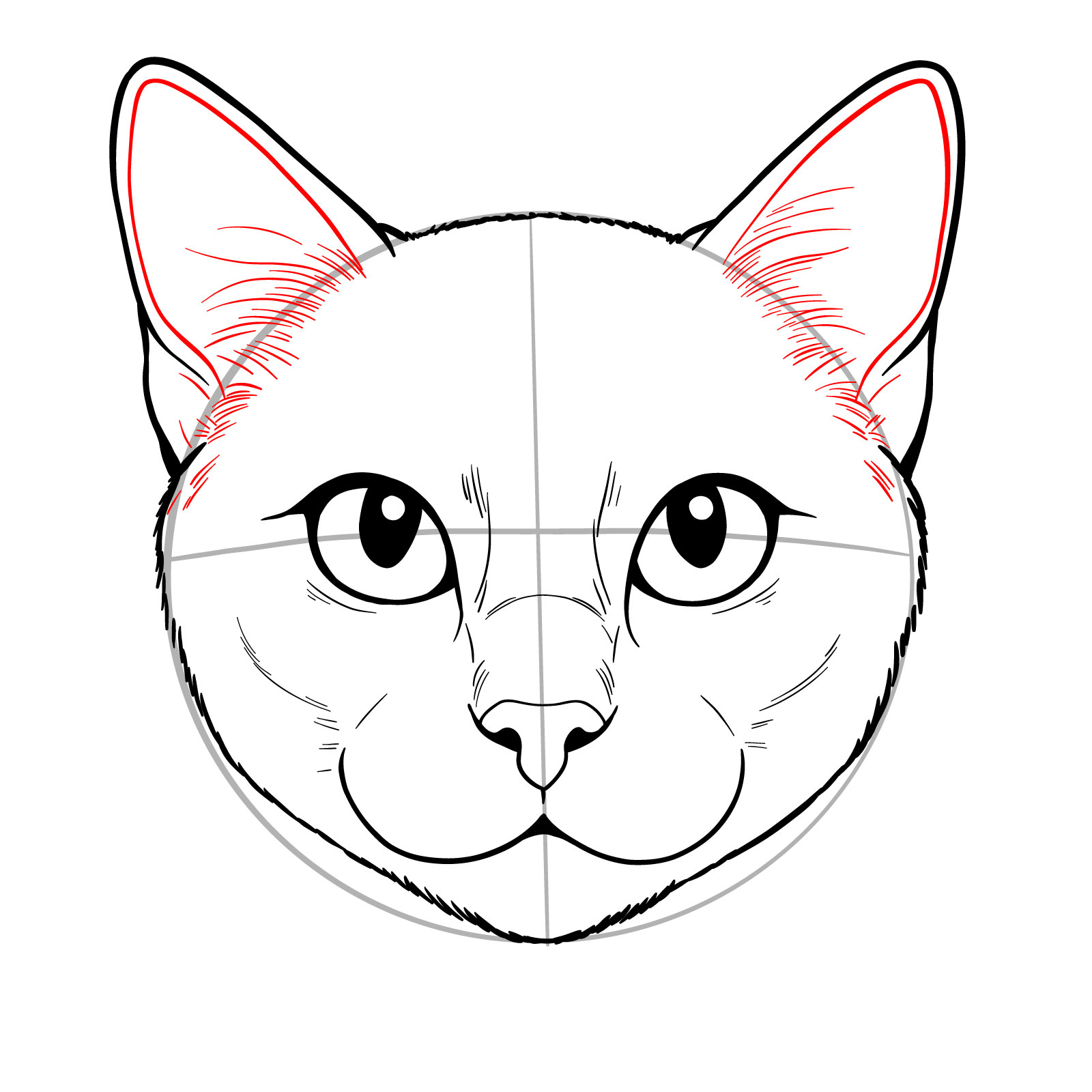 Detailed sketch of the inner ear lines and fur texture in a cat's face - step 08