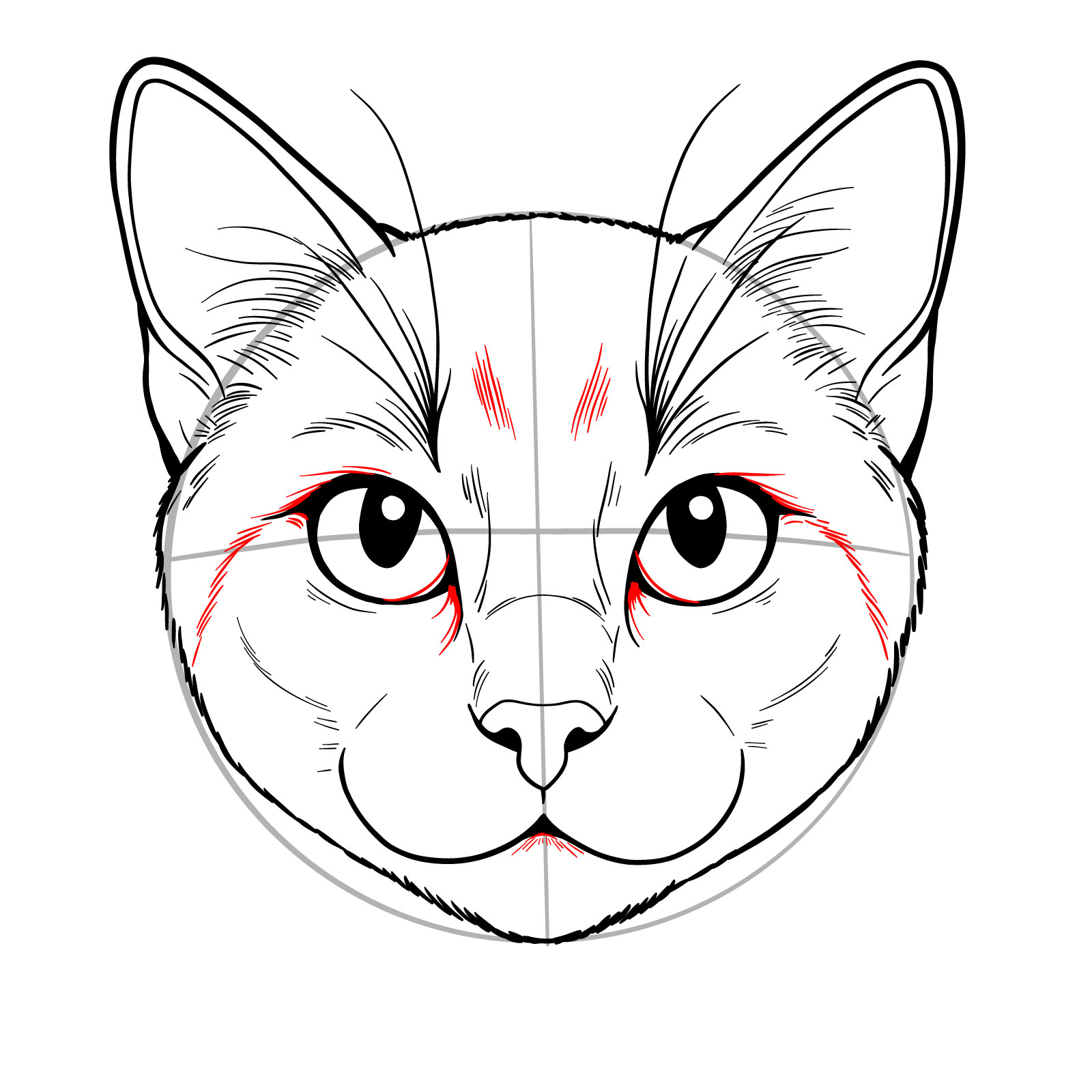 Close-up of a cat's face sketch showing detailed fur around the eyes and forehead - step 10