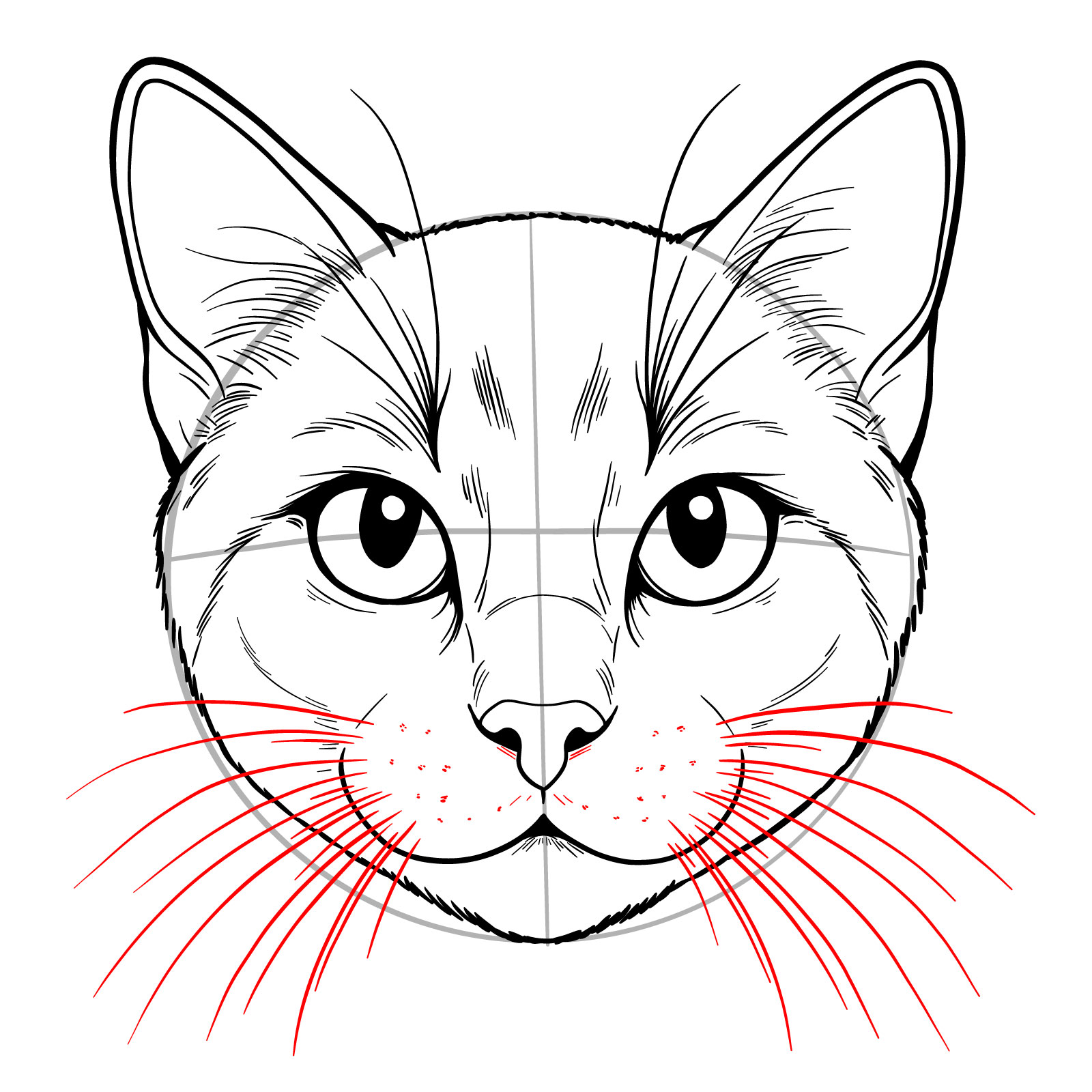 Cat's face drawing highlighting the whisker spots and patterns - step 11