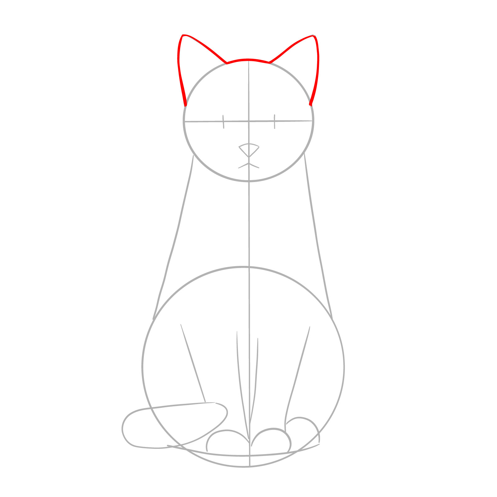 Outline of a cat's head and ears for a sitting cat drawing - step 03