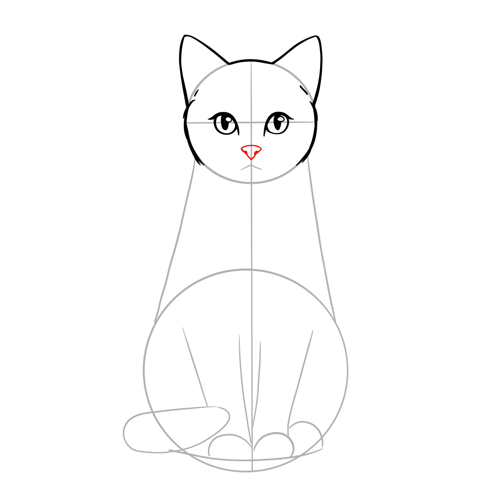 Sketch outlining a triangular nose shape on a sitting cat - step 07