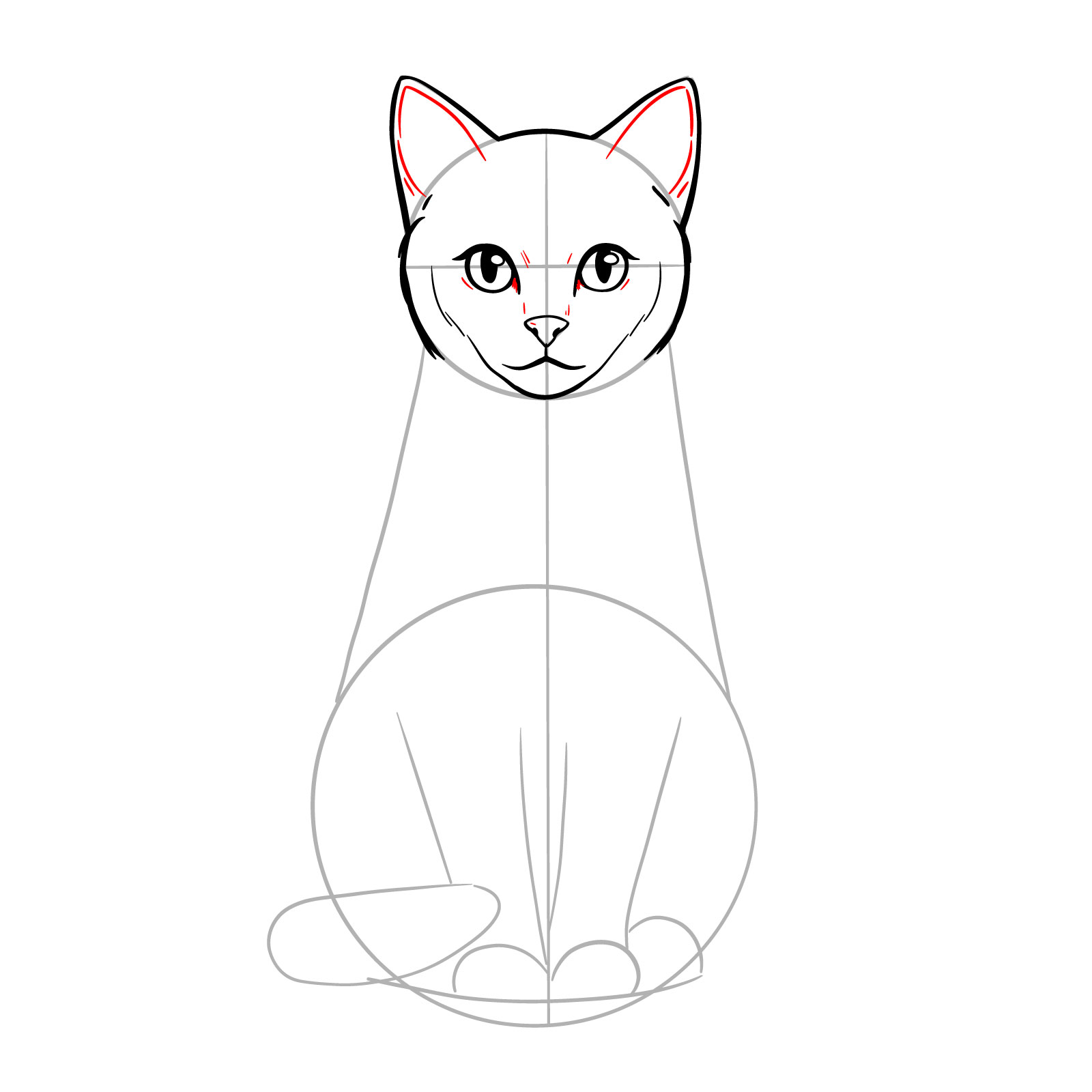 Detailing the eyes and inner ears in a sitting cat sketch - step 09