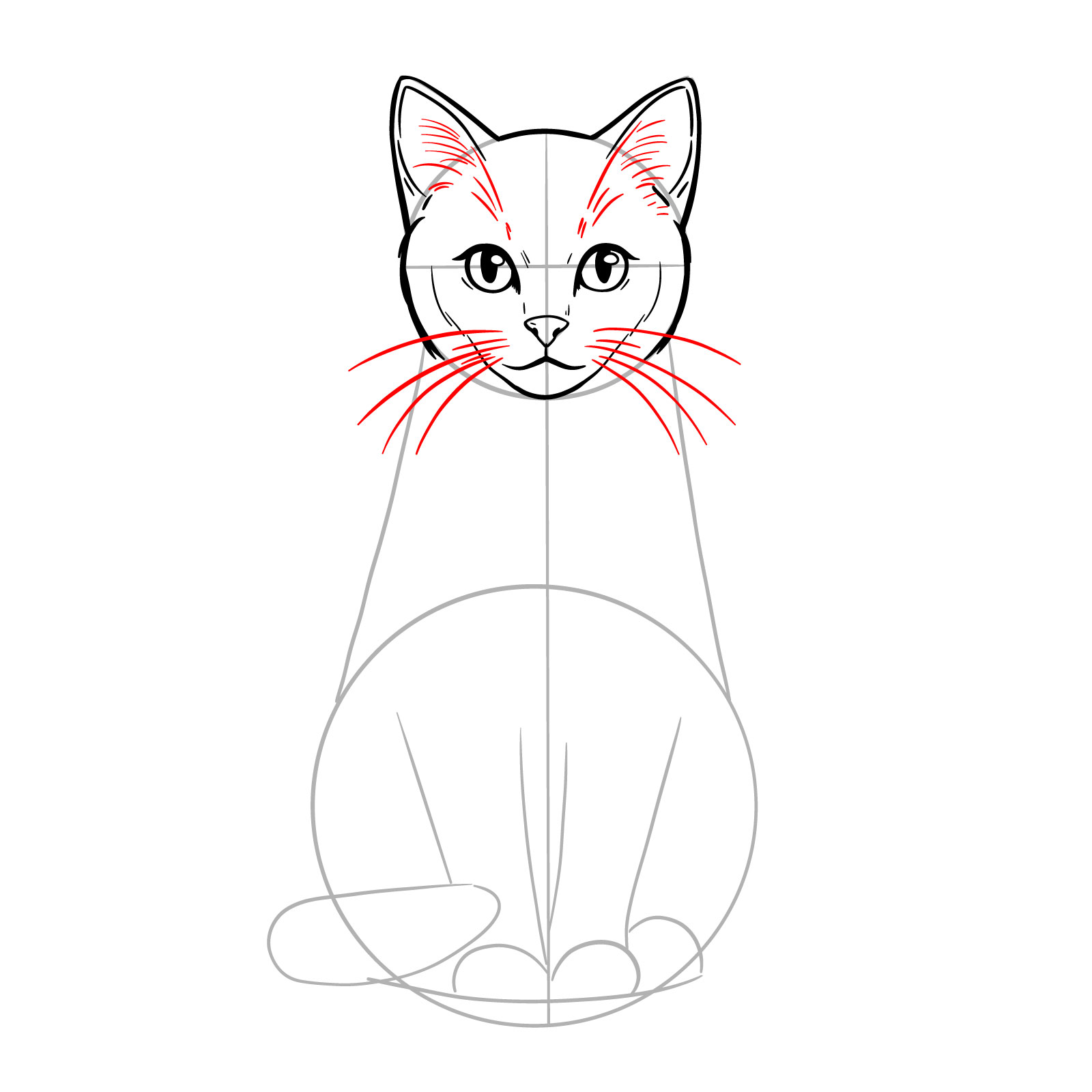 Sketch of a sitting cat adding whiskers and fur detail in the ears - step 10