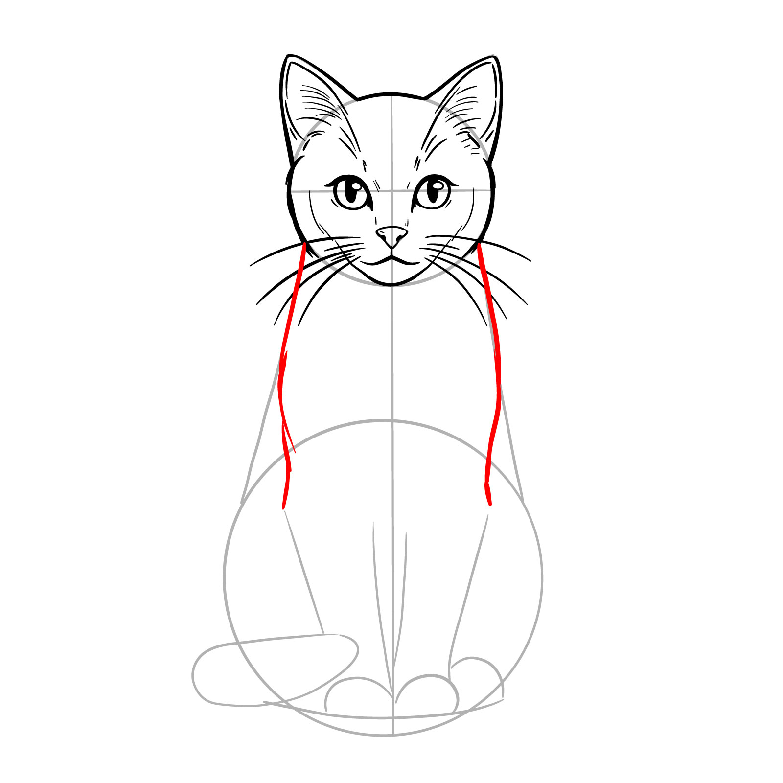 Sketch shaping the neck and upper body of a sitting cat - step 11