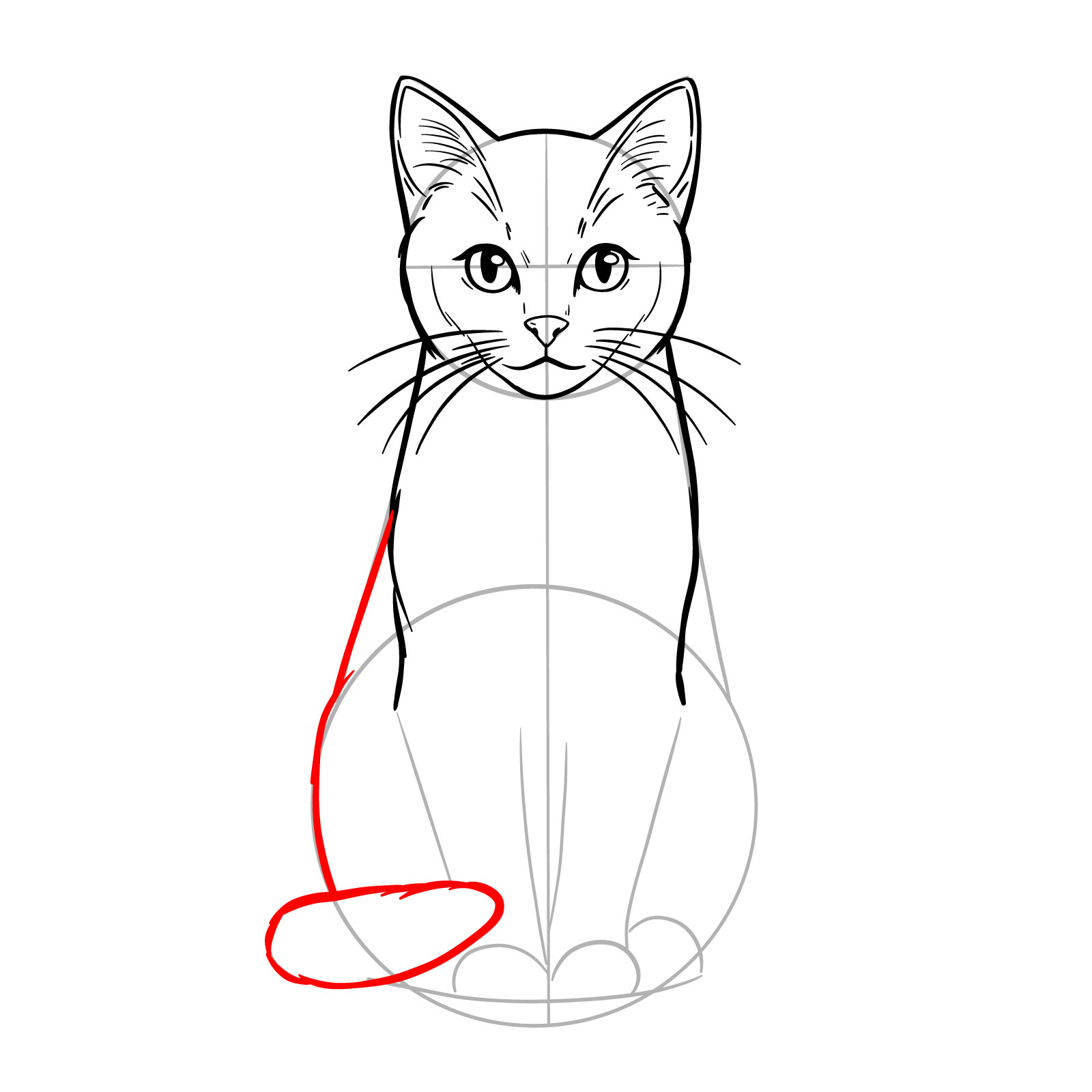 Finalizing the side body and tail outlines for a sitting cat drawing - step 12