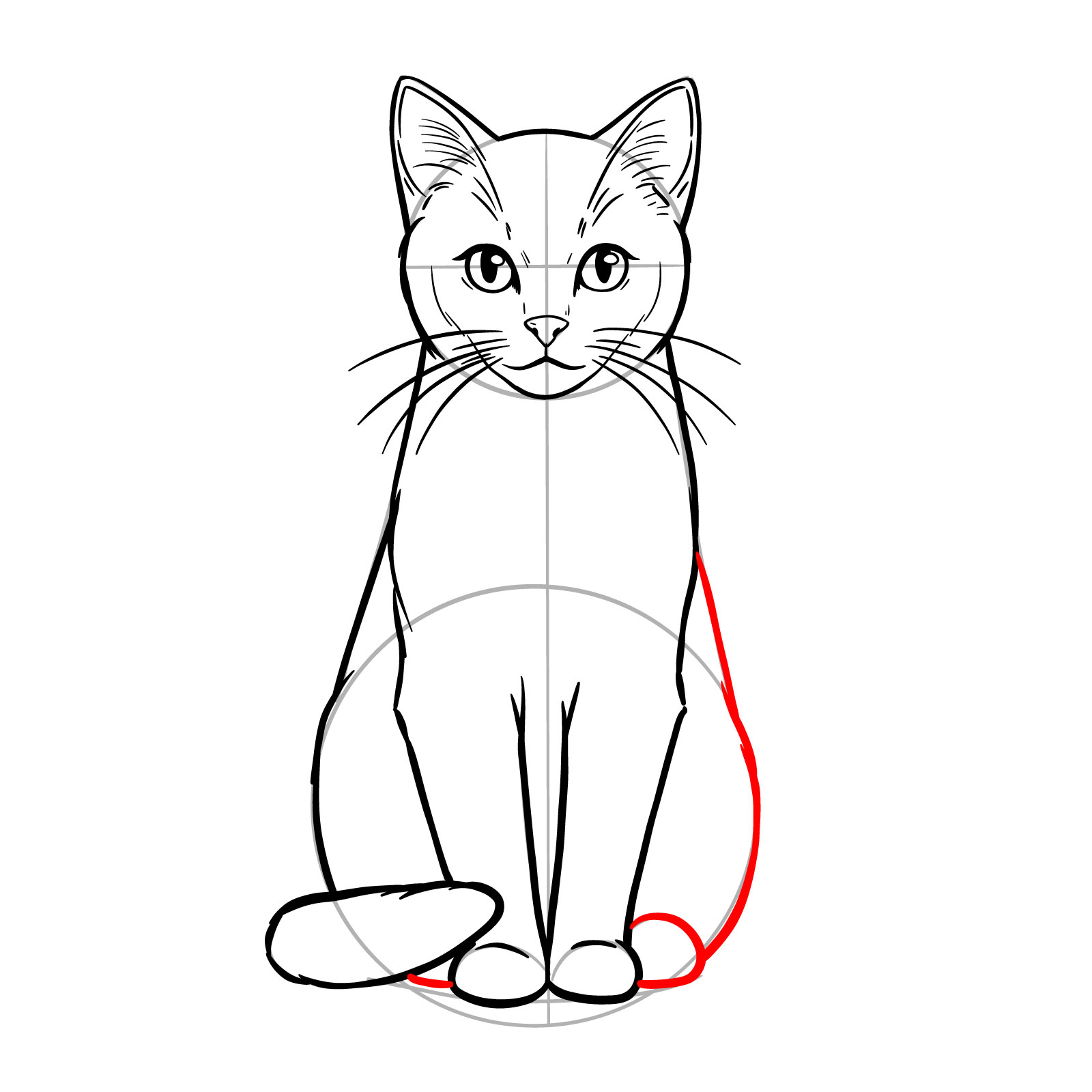 Outlining the second side and back legs of the sitting cat sketch - step 14