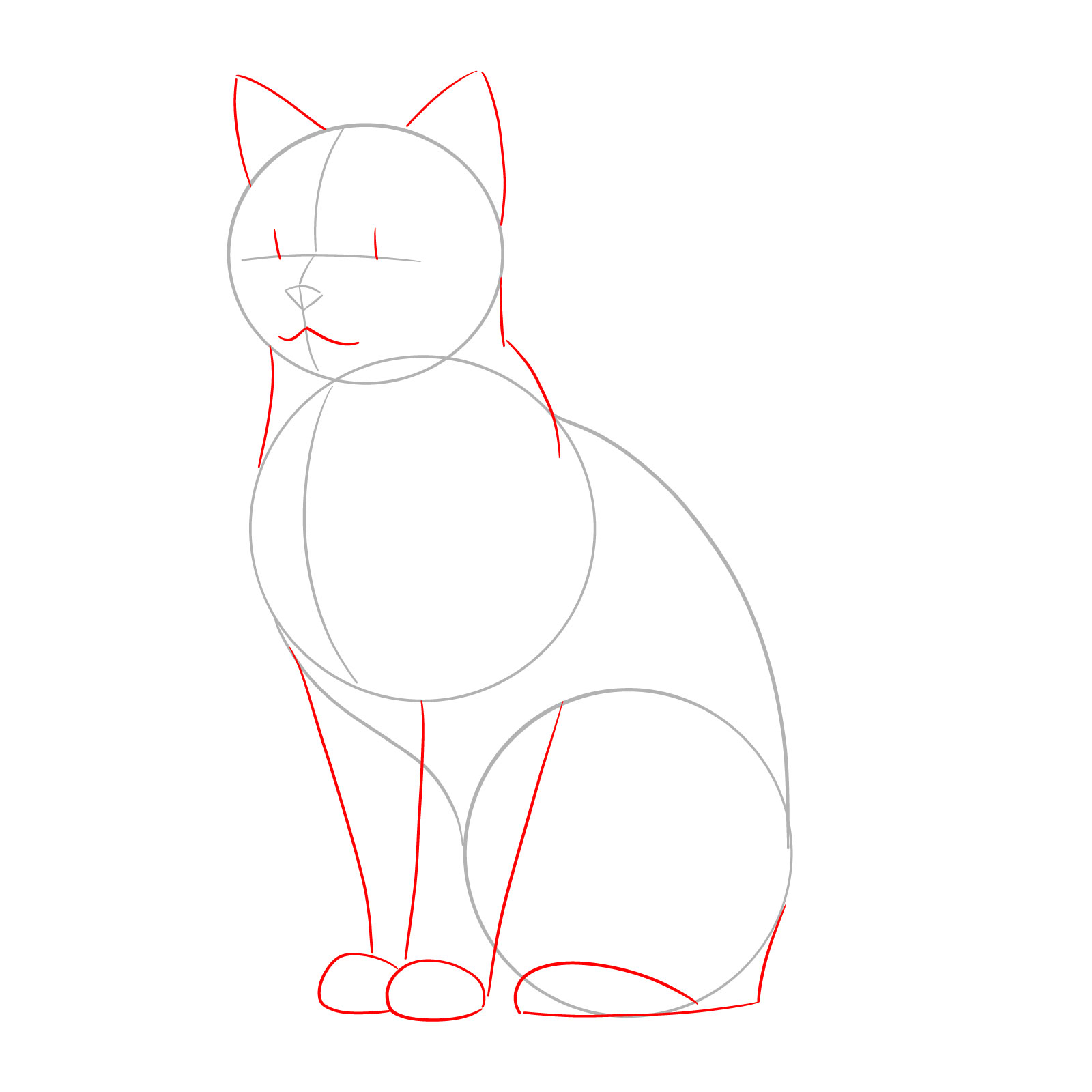 Mapping the facial and body features of a cat in a side view - step 02