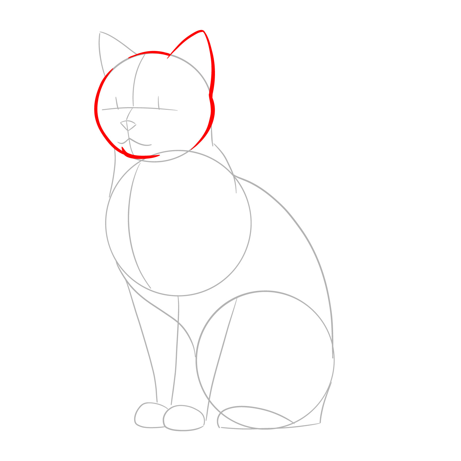 Outlining the head and ear of a cat from a side view - step 03