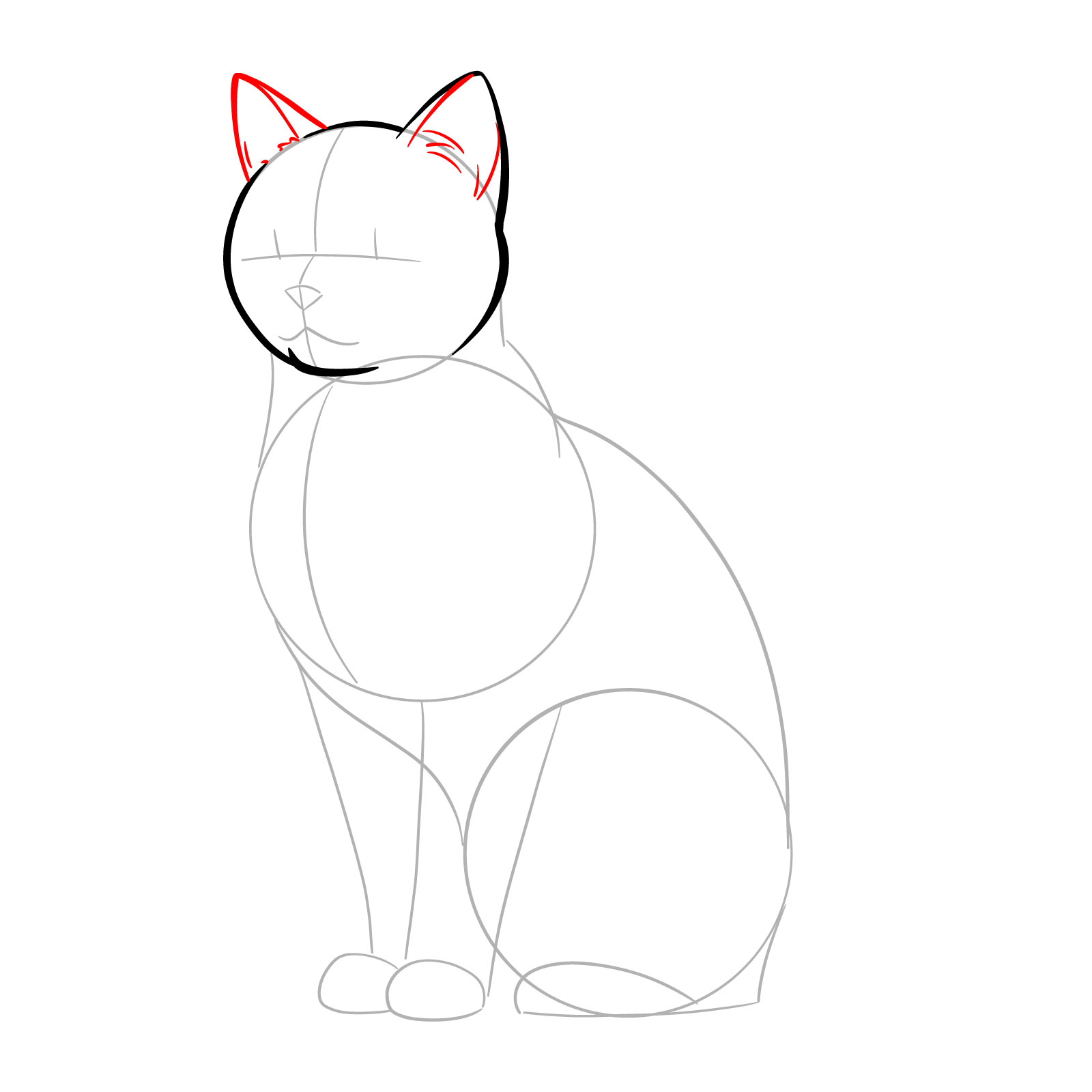 Sketching the second ear and detailing both ears of a cat - step 04