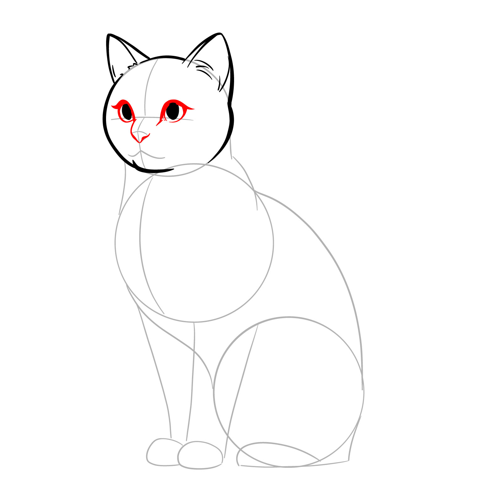 Outlining eyelids and defining the nose in the side view cat sketch - step 06