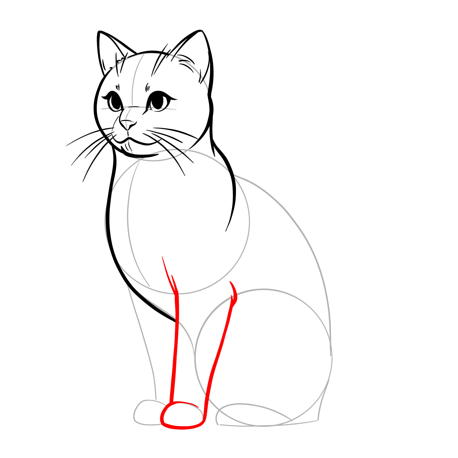 Sketch of a cat's front leg in a sitting position, illustrating the initial outlines and structure - step 09