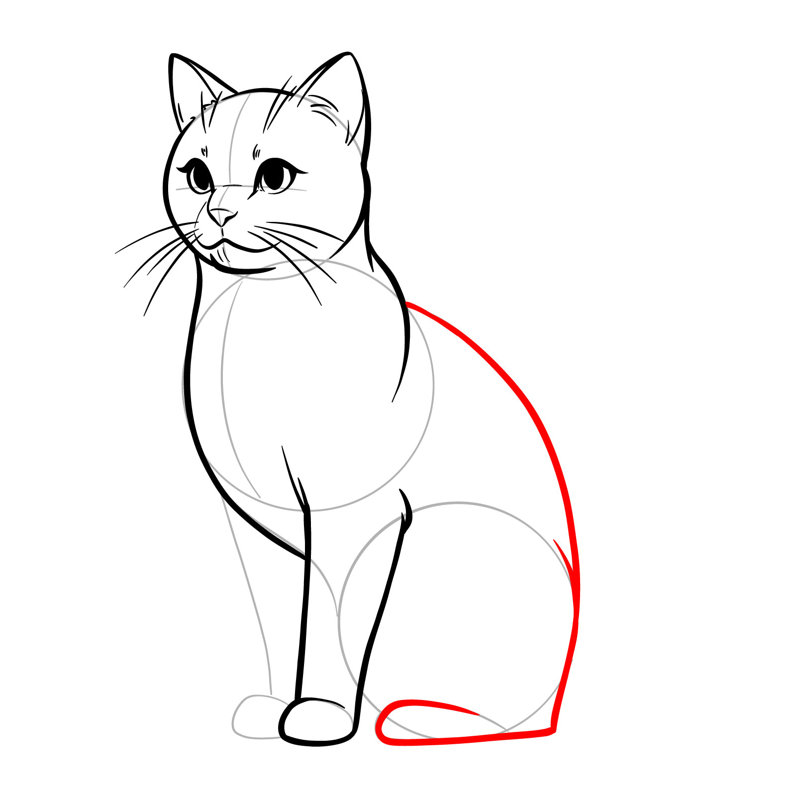 Outline of a cat's back and hind leg, indicating the development of the drawing - step 10