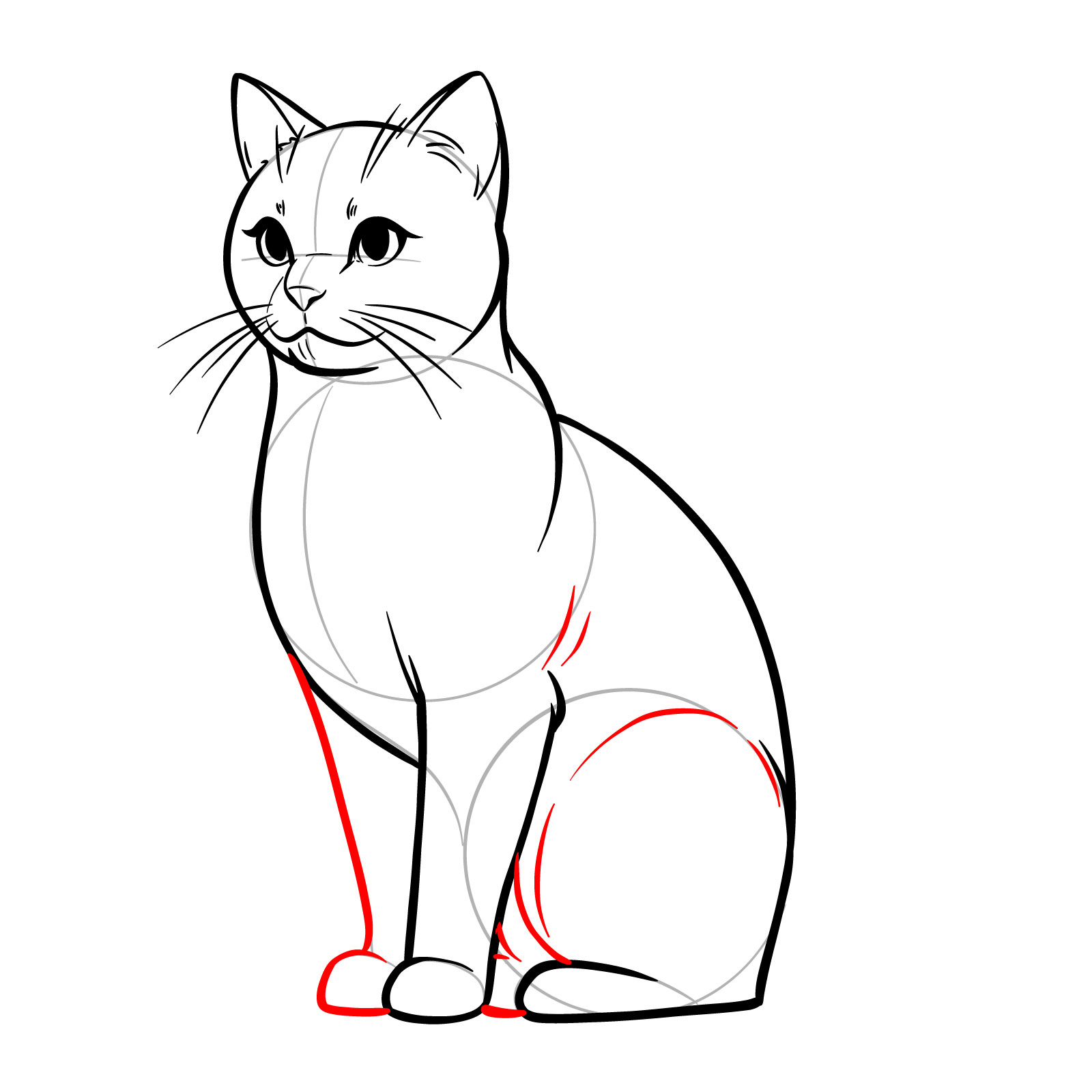 Detailed sketch of a cat's legs, adding muscle lines for a realistic depiction - step 11