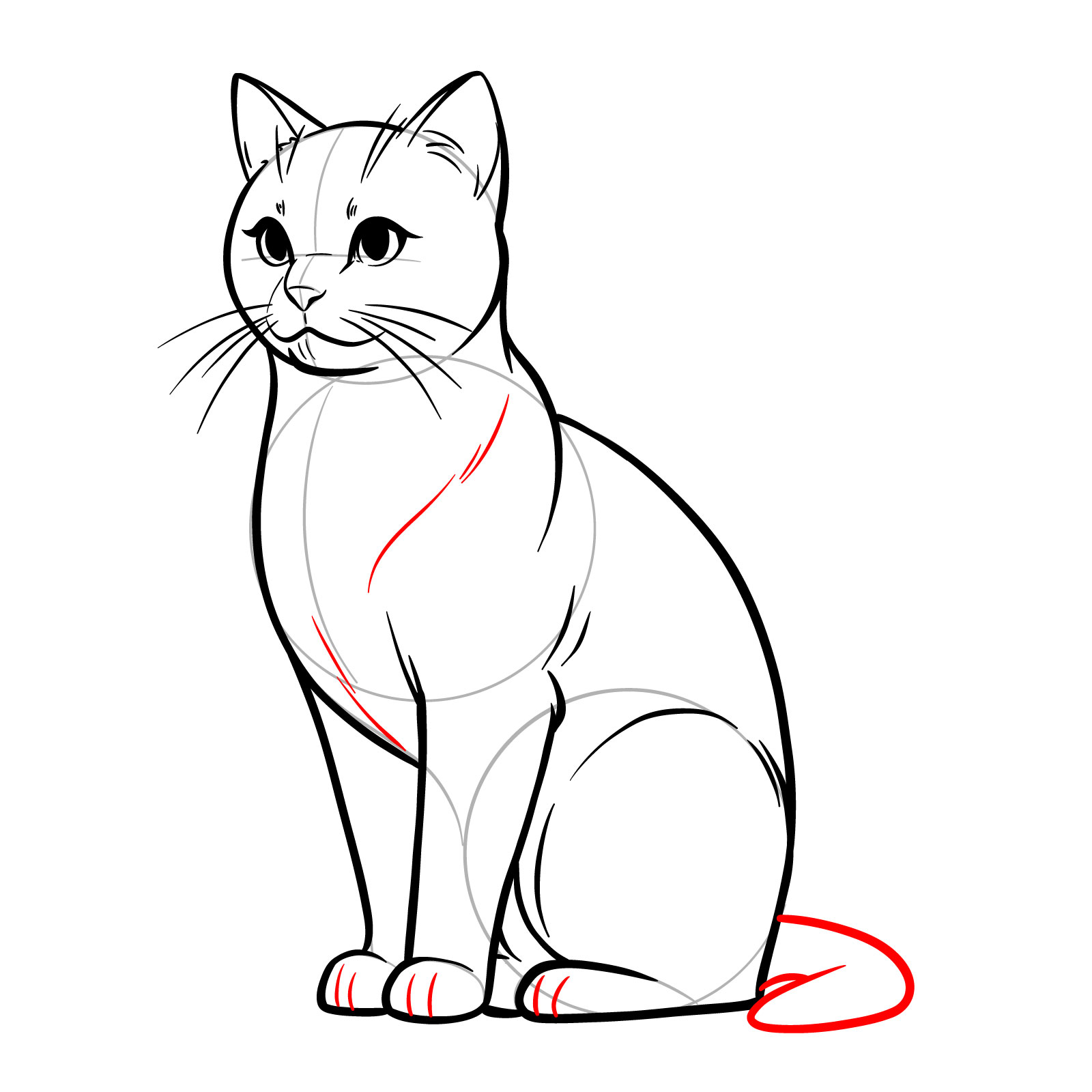 Detailed drawing of a cat's tail and fur texture, with paw separation - step 12
