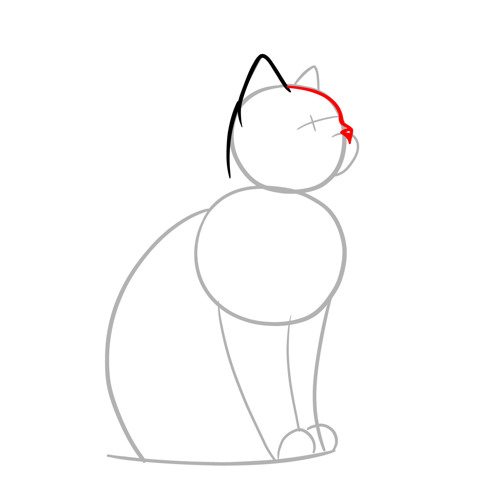 Sketching the cat's forehead and nose outline, providing a base for further facial features - step 04
