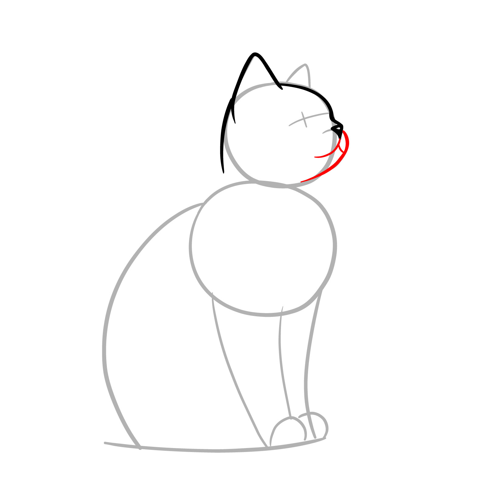 Sketching the cat's mouth and muzzle, finalizing the basic facial features - step 05