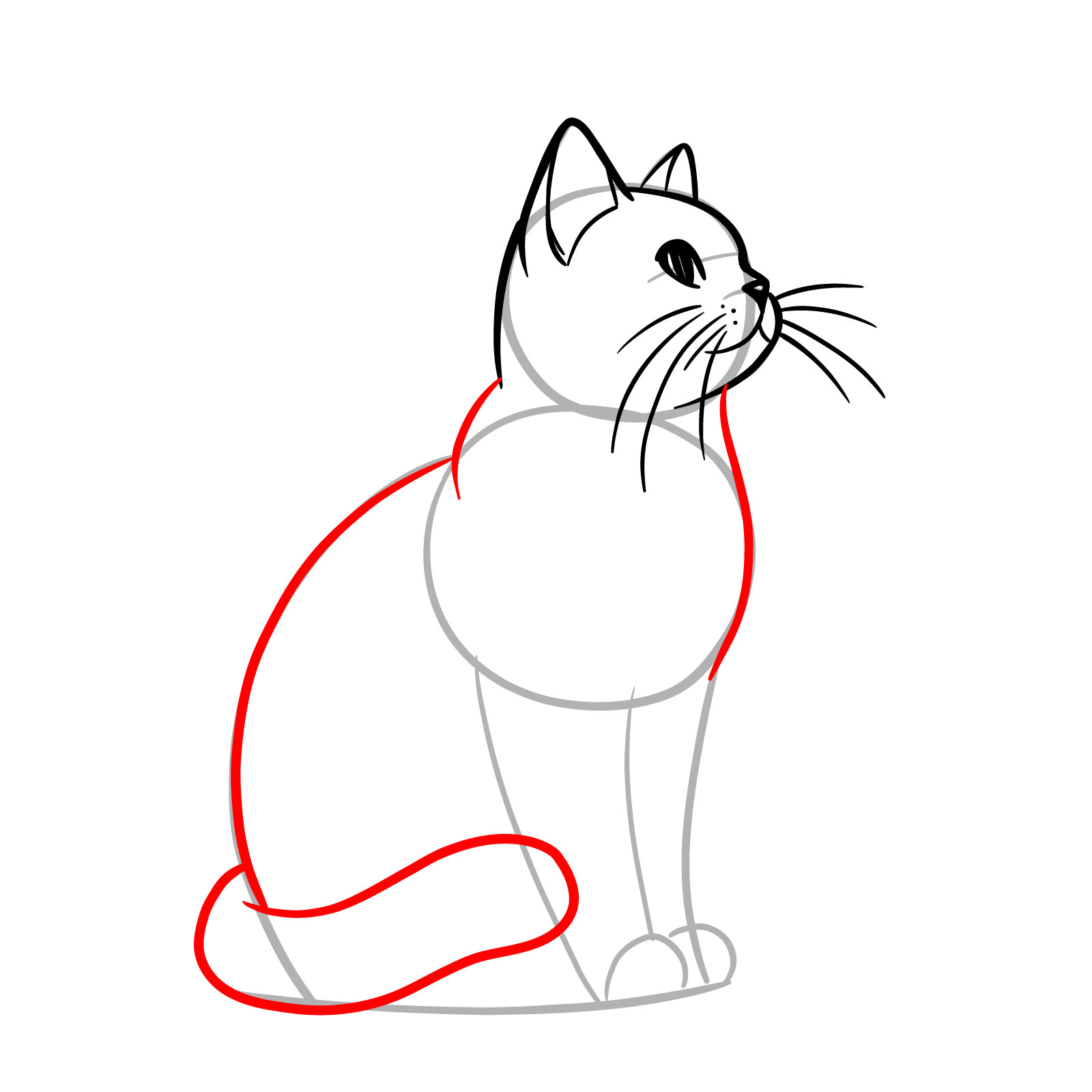 Outlining the cat's neck, upper body, back, and curving tail for a full body sketch - step 08