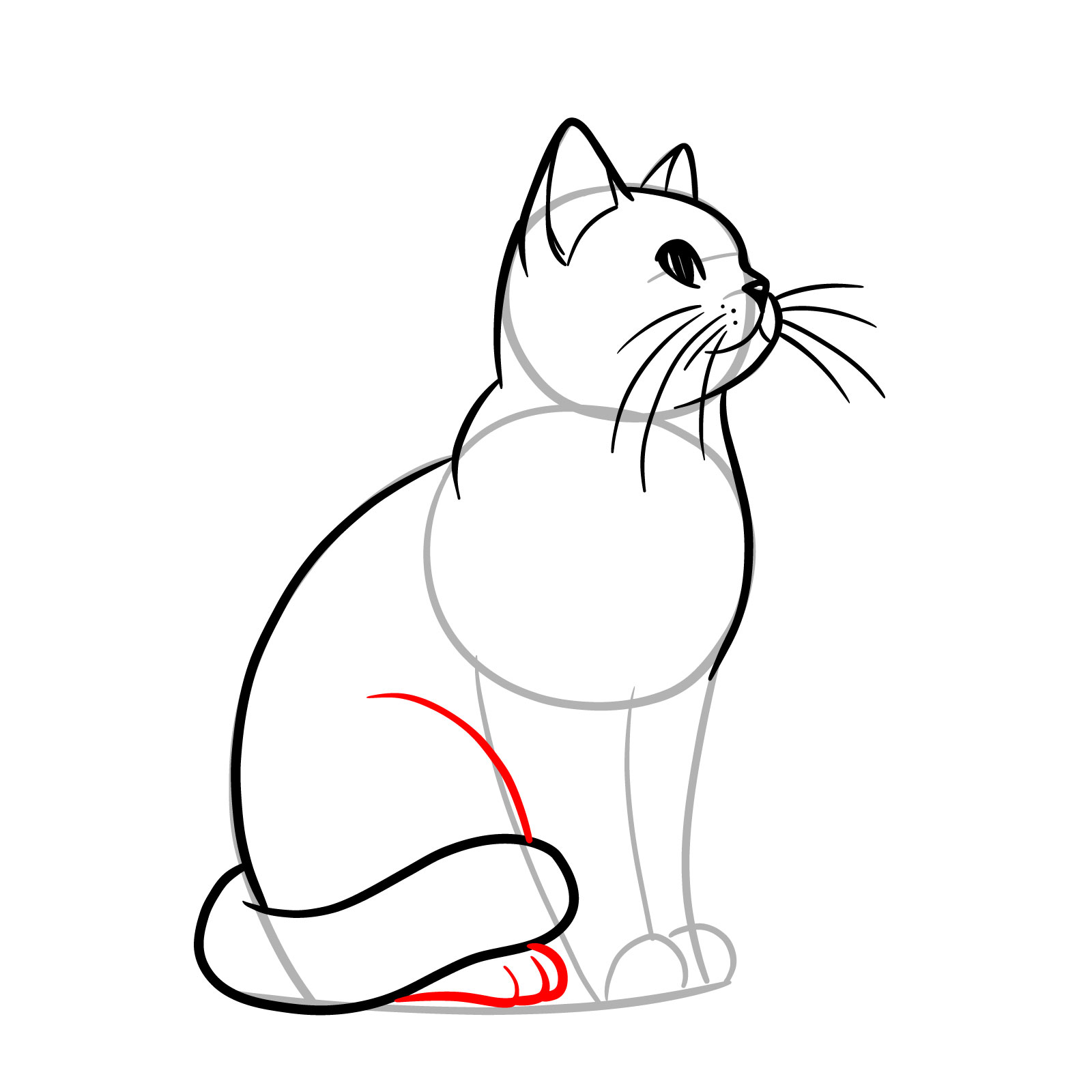 Drawing the back leg of the sitting cat, emphasizing its bent position - step 09