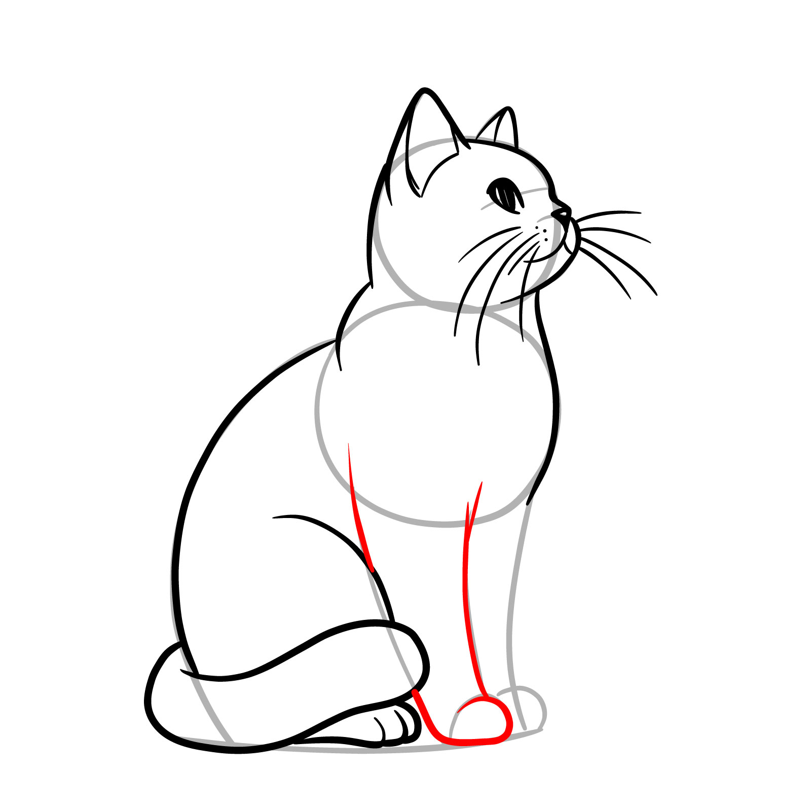 Illustrating the front leg of the cat, detailing the paw and leg separation - step 10