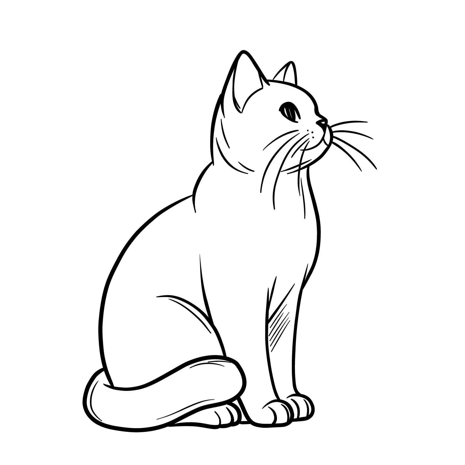 How to Draw a Sitting Cat - 3/4 Right Side View - Easy Drawing Guide