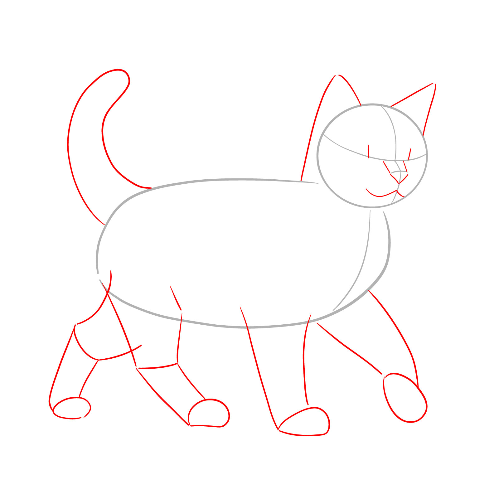 Initial mapping of the cat's facial features and limb placements for a walking cat - step 02