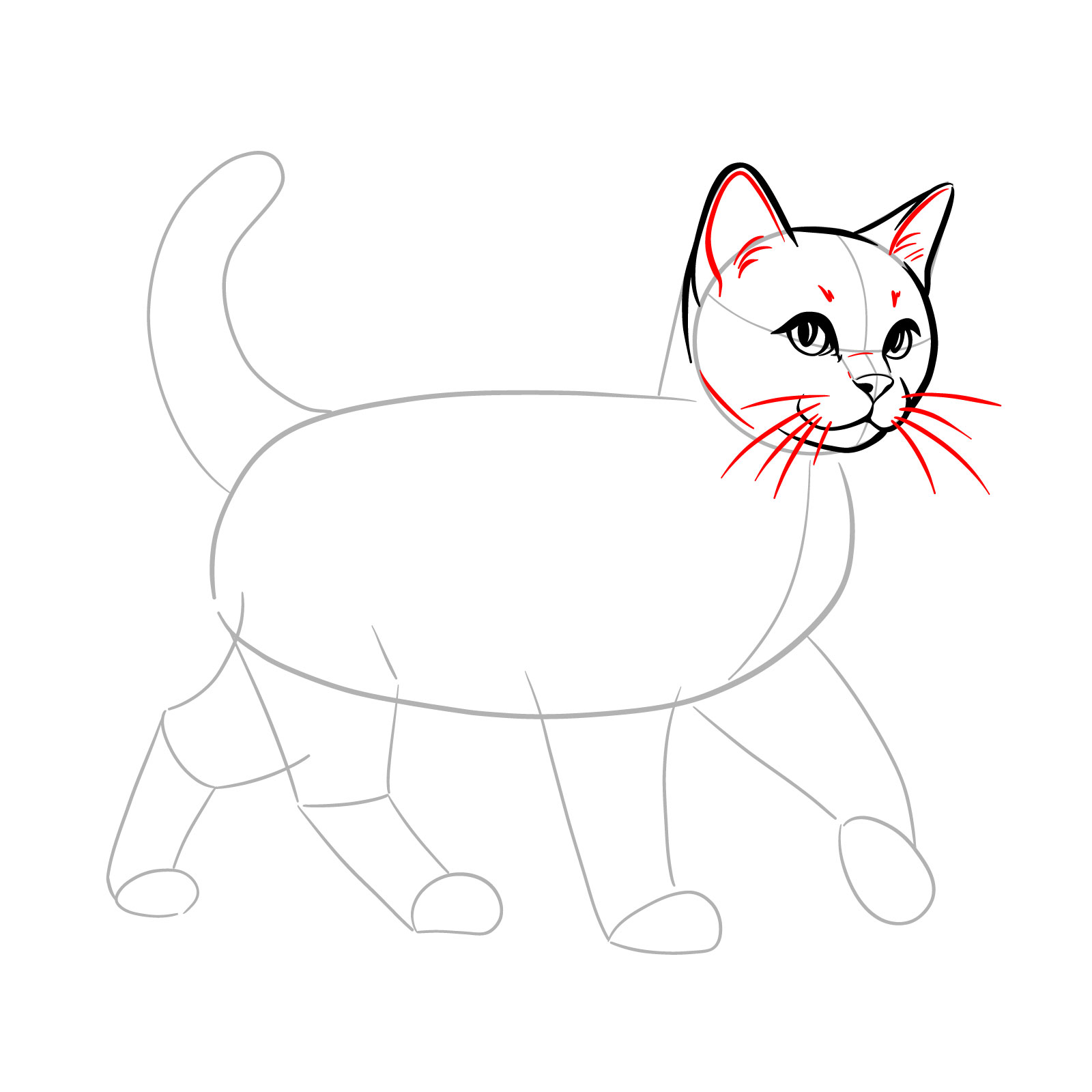 Detailing the cat's facial features with whiskers and ear refinement in a walking pose - step 07