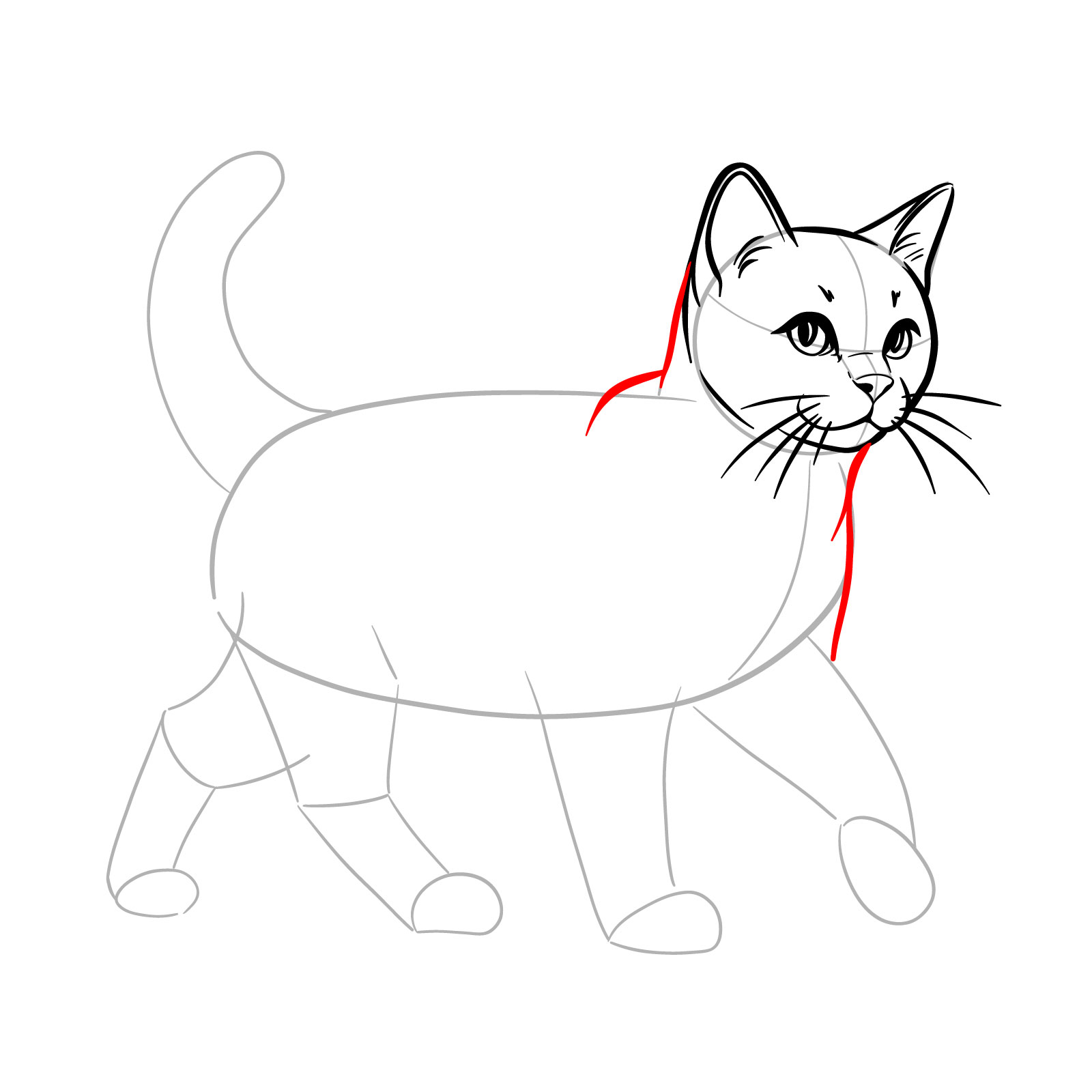Outlining the neck and upper body of the cat to illustrate a walking motion - step 08