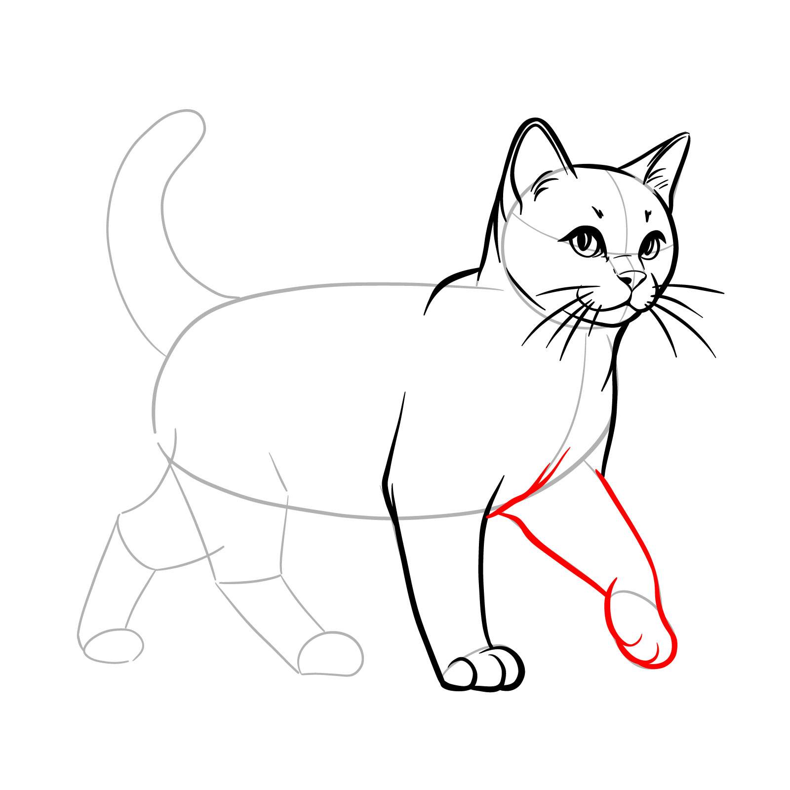 Sketching the forward-thrusting front leg of the walking cat - step 10