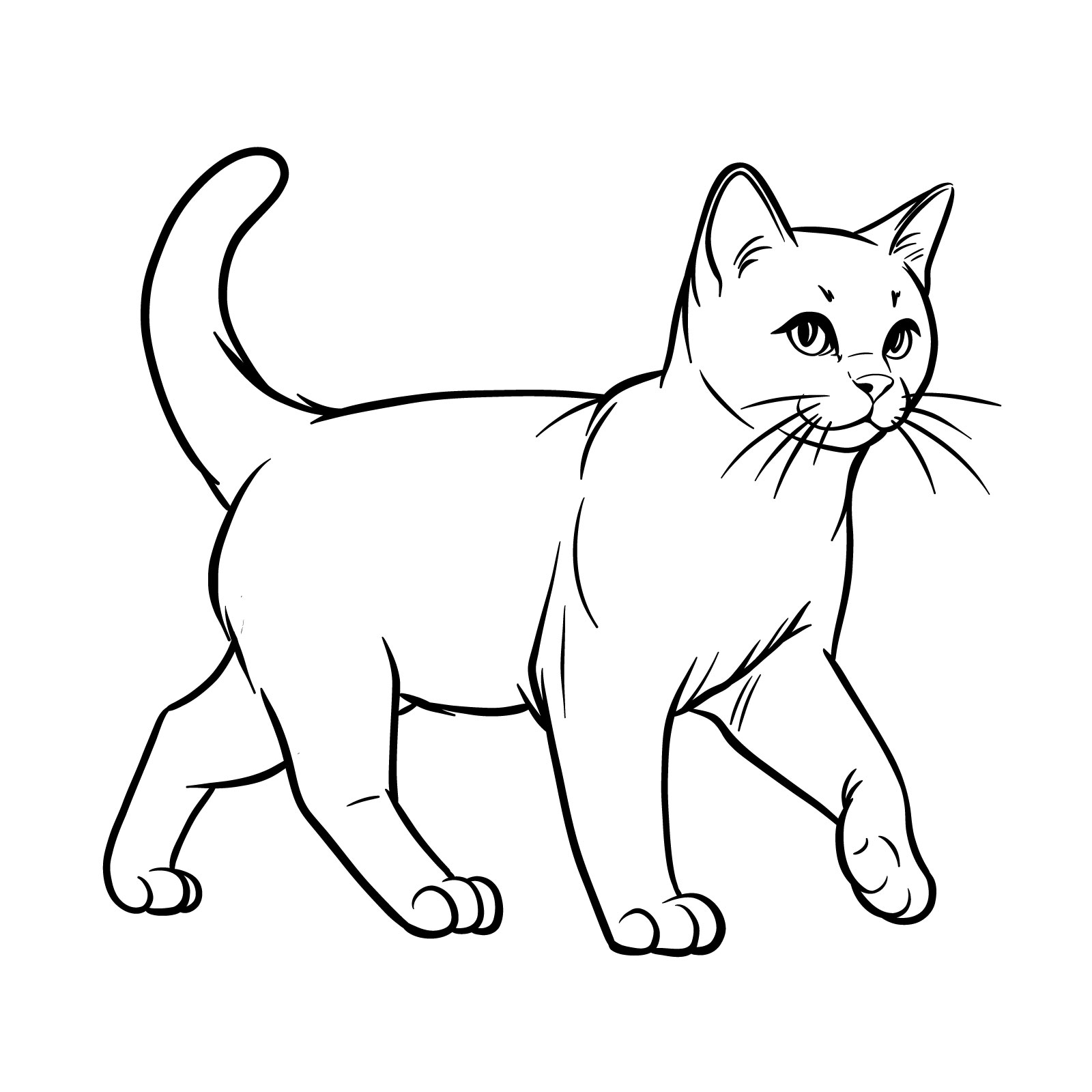How to Draw a Walking Cat - Easy Step-by-Step Guide