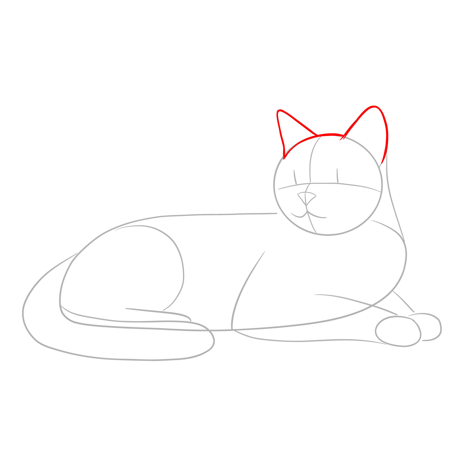 Shaping the ears and top of the head for a side-view lying cat illustration - step 03