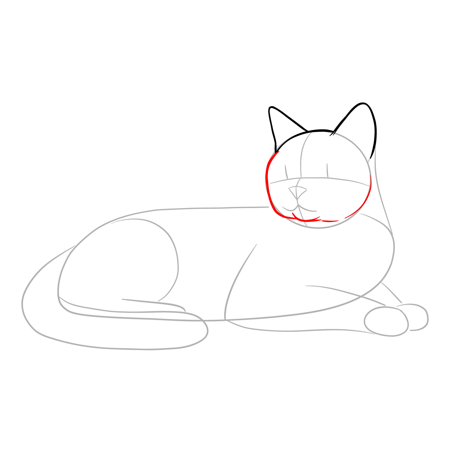 Sketching the sides of the head and defining the chin in a lying cat sketch - step 04