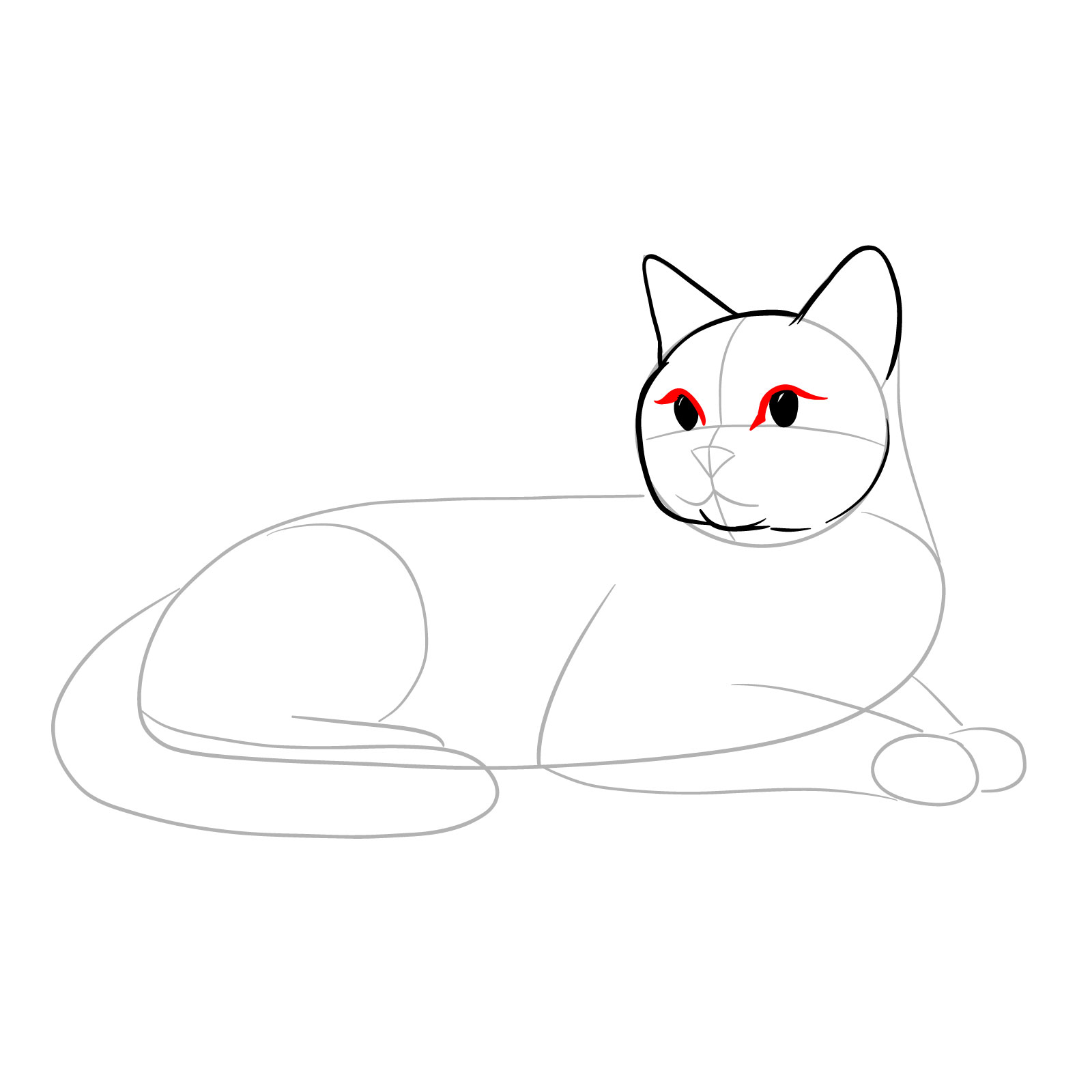 Illustrating the upper eyelids for a realistic cat's eye in a side view - step 06