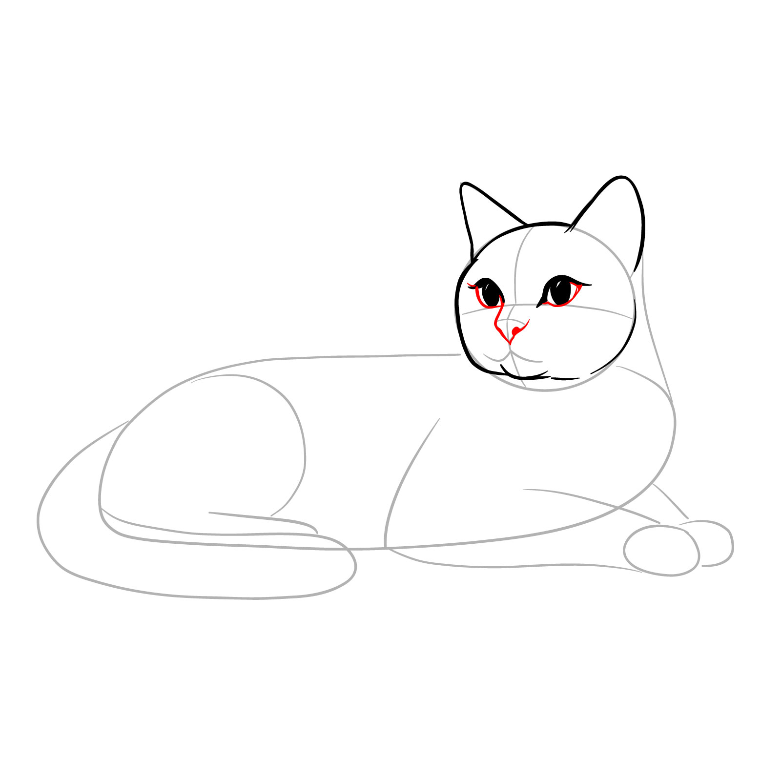 Finalizing the eyes and drawing the nose on a side-view sketch of a lying cat - step 07