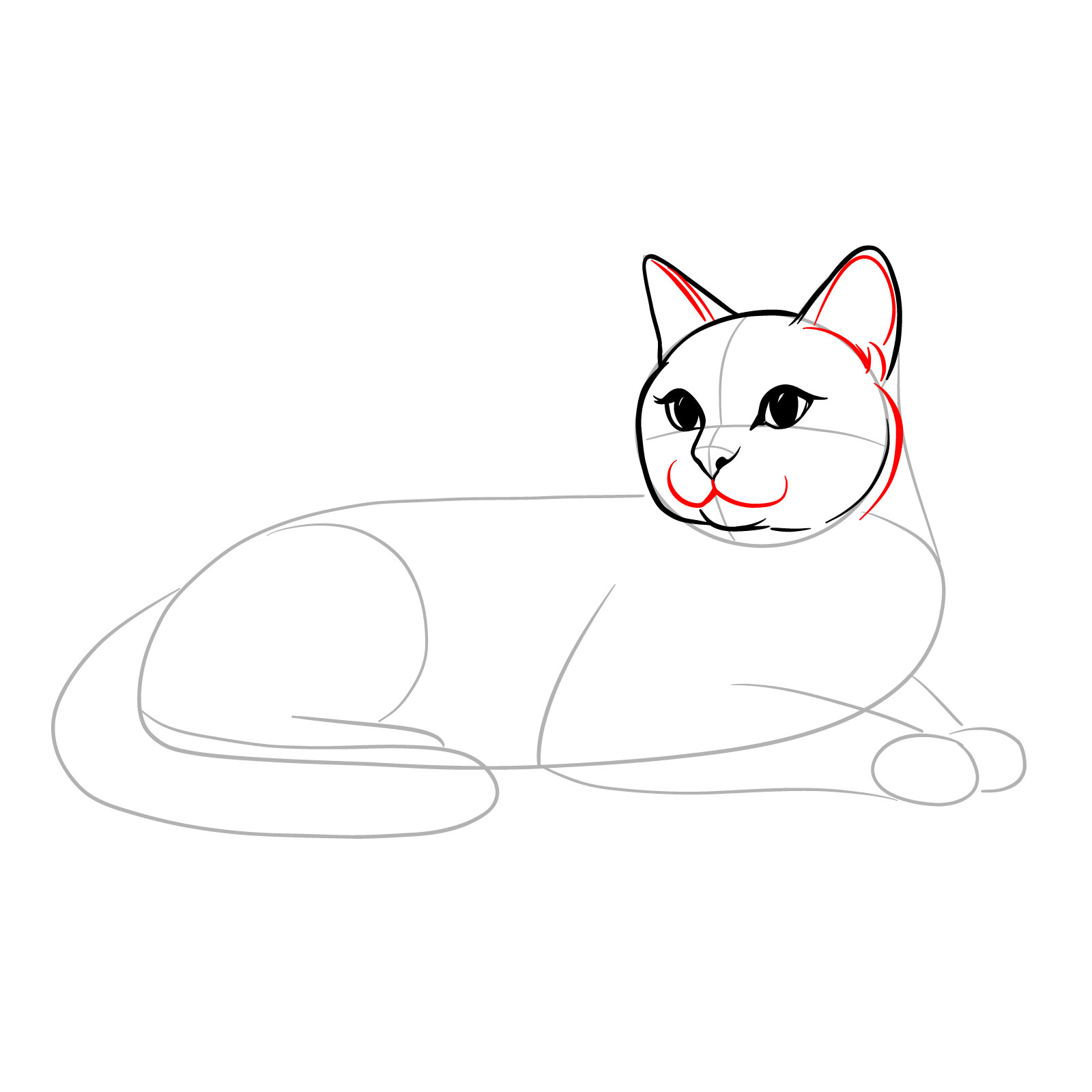 Adding the mouth and detailing the ears of the lying cat drawing - step 08
