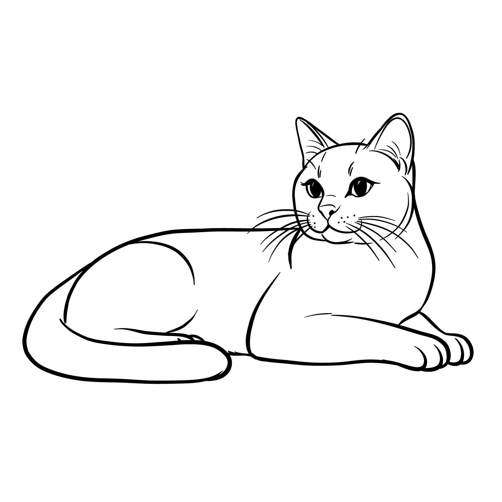 How to Draw a Lying Cat - Side View - Easy Step-by-Step Guide