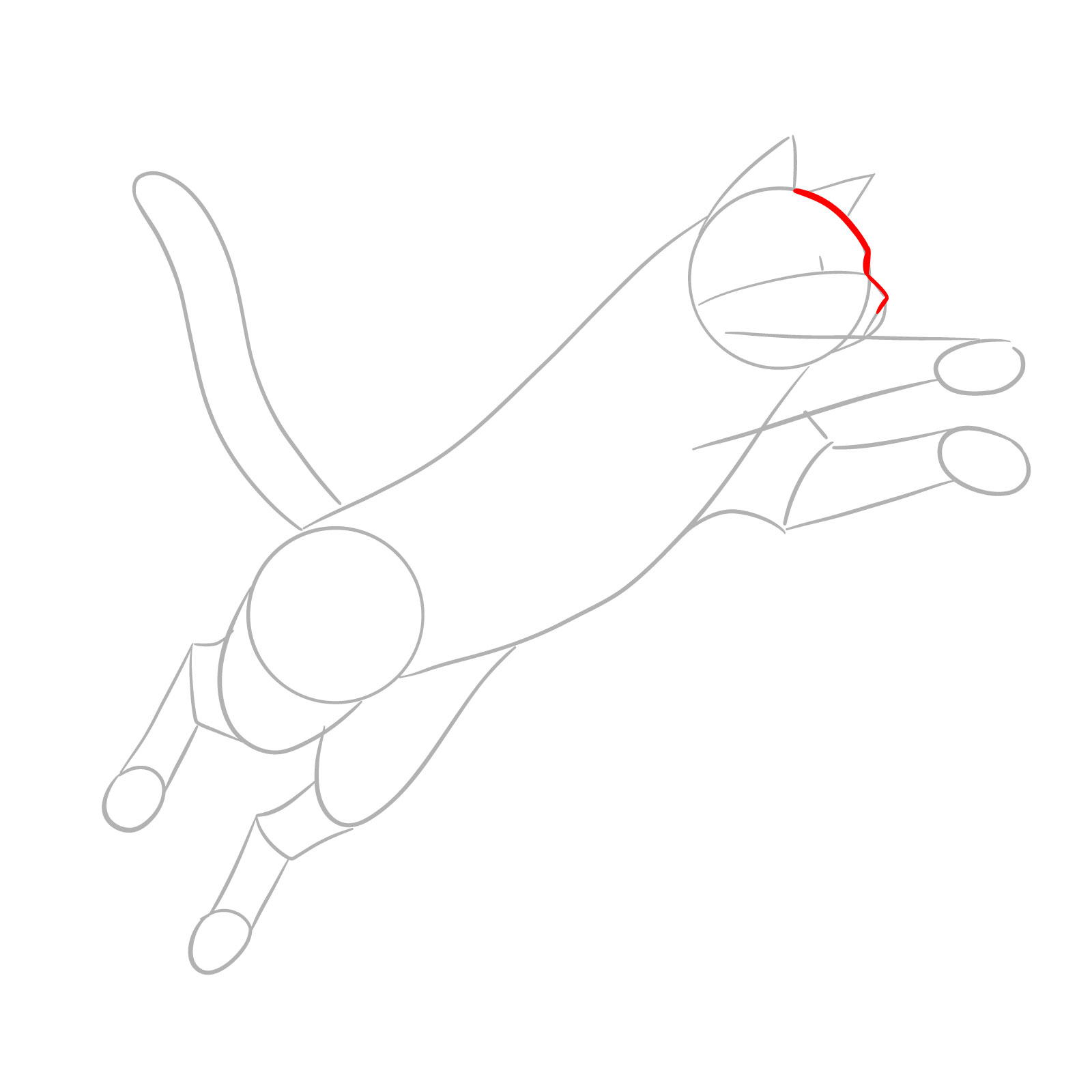 Sketch detailing the front part of a cat's head and nose for an illustration of a cat in a jump - step 03