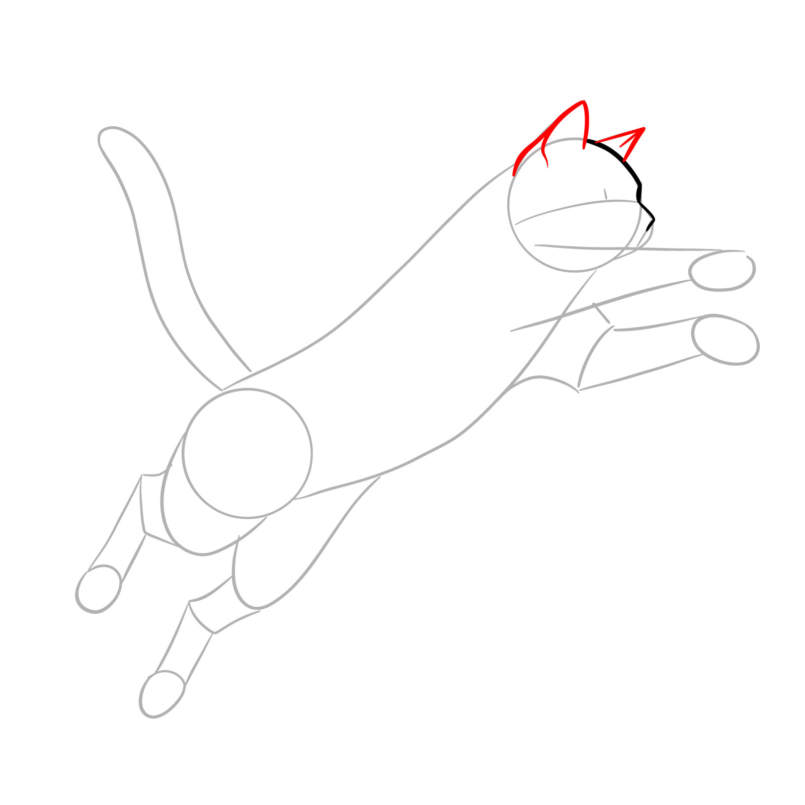 Drawing the ears on a cat's head for a step-by-step guide on how to draw a cat in a jump - step 04